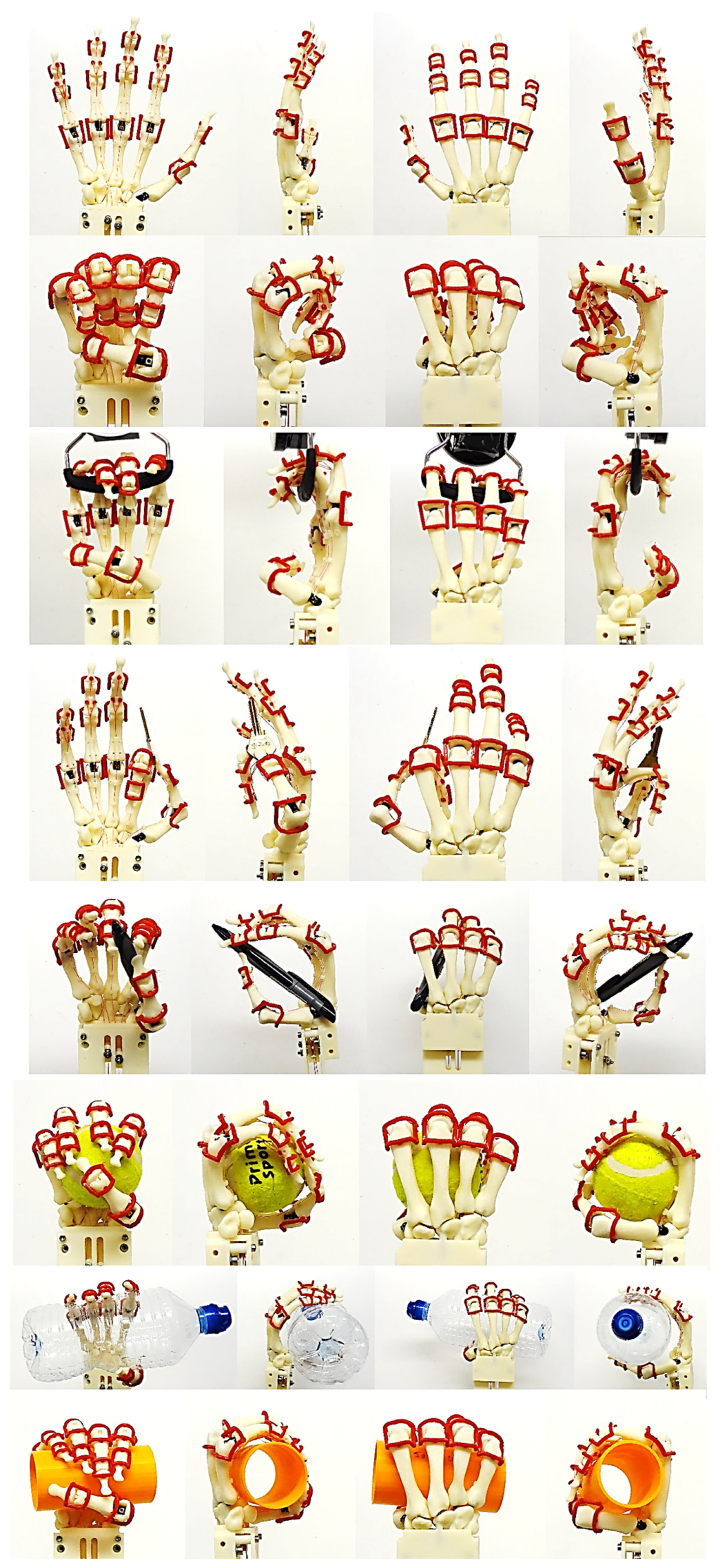 Biomimetics 10 00158 g032