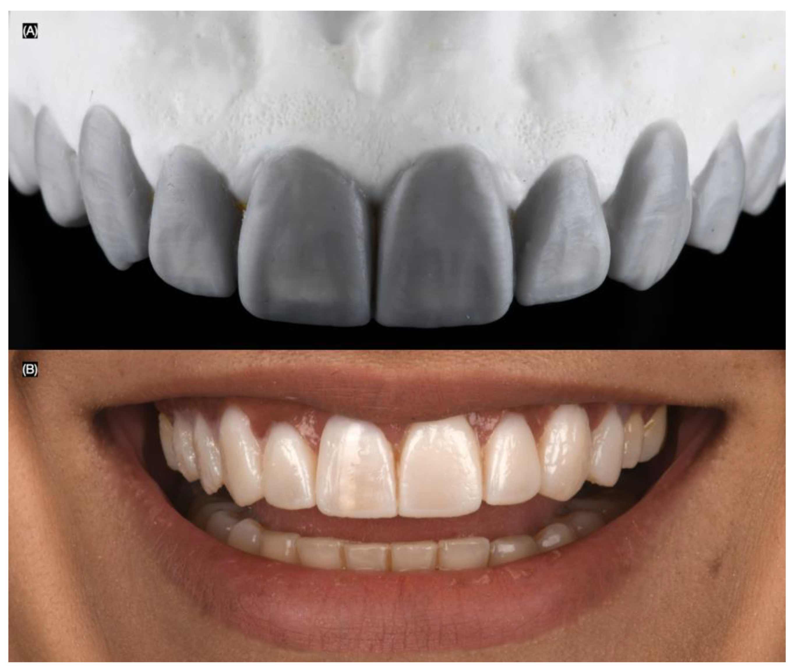 Biomimetics 10 00188 g003