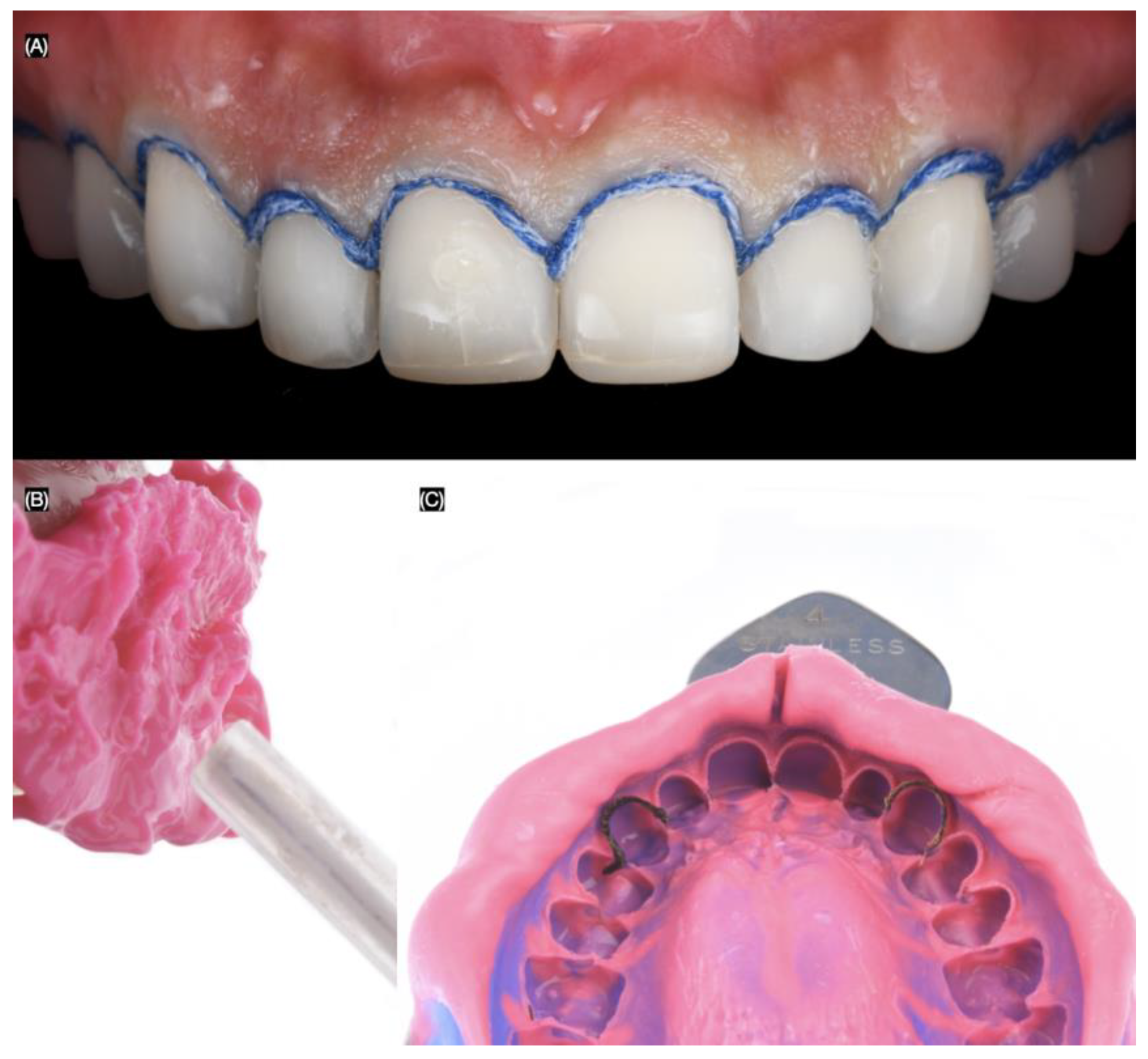 Biomimetics 10 00188 g005