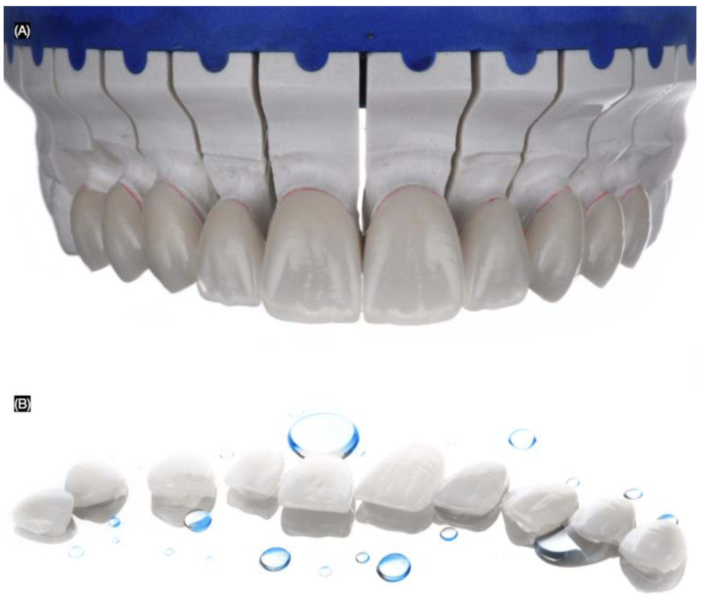 Biomimetics 10 00188 g007