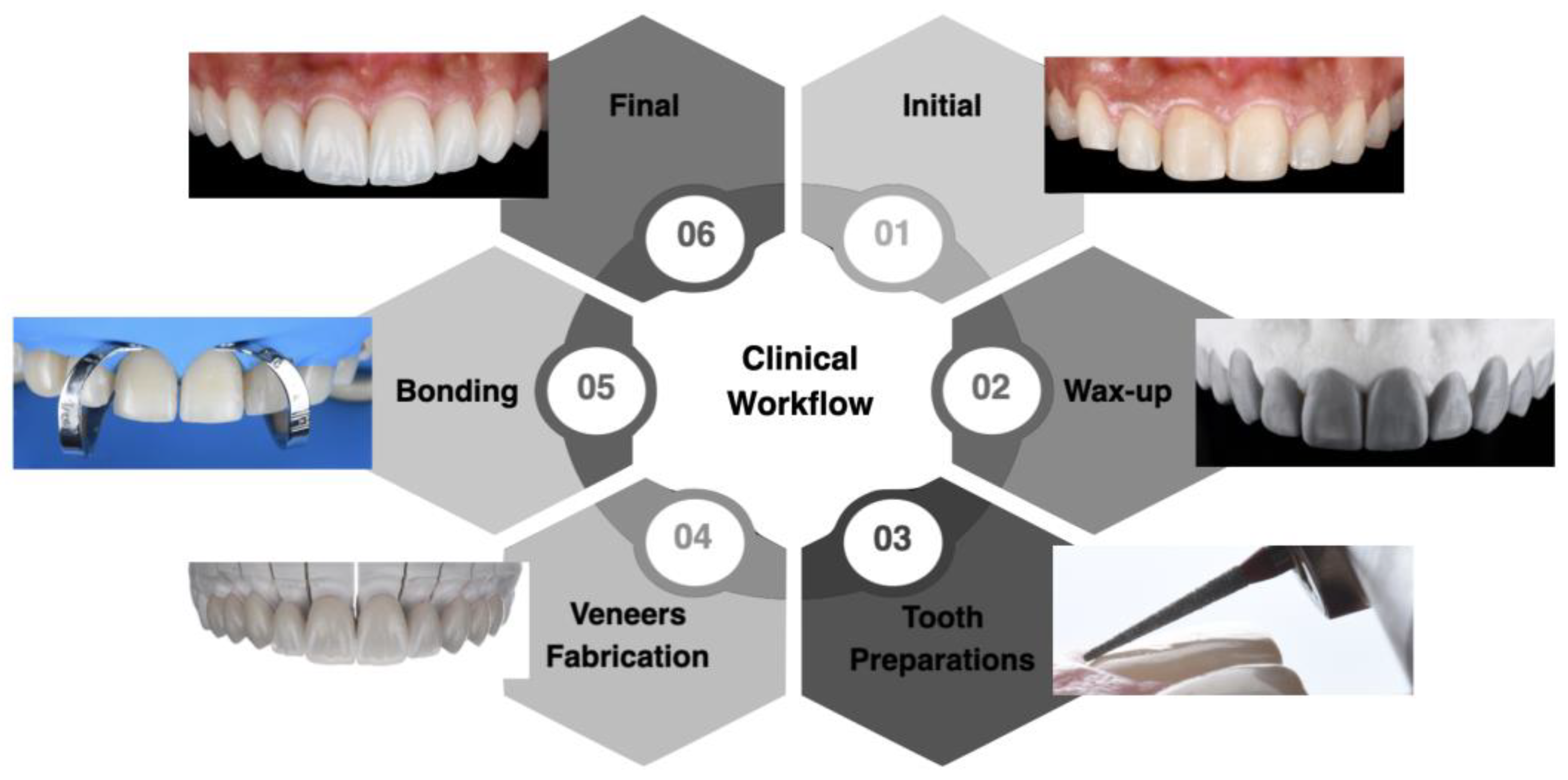 Biomimetics 10 00188 g012