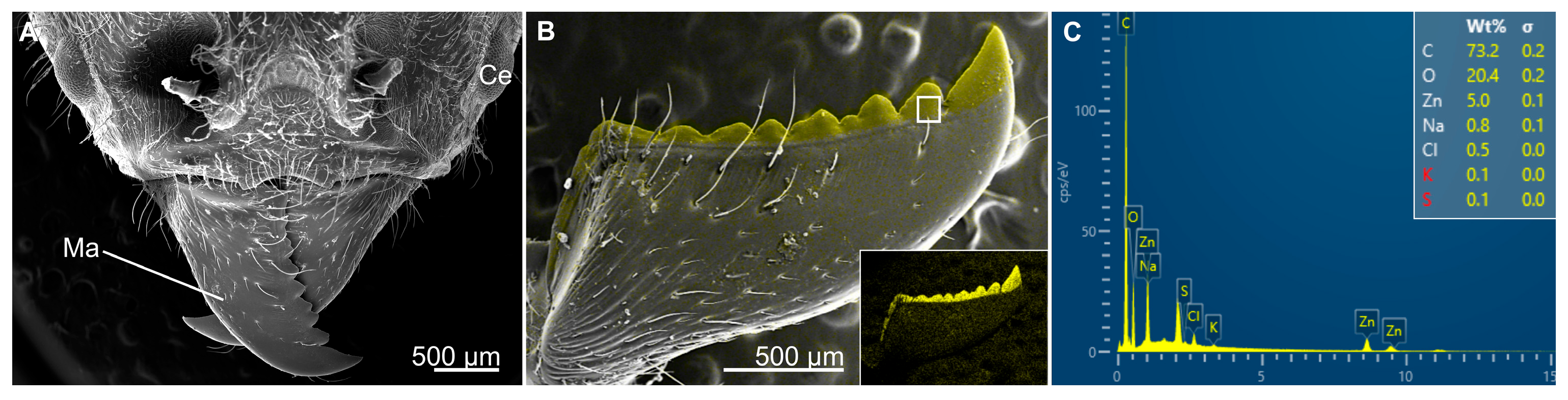 Biomimetics 10 00196 g005 Biomimetics 10 00196 g005