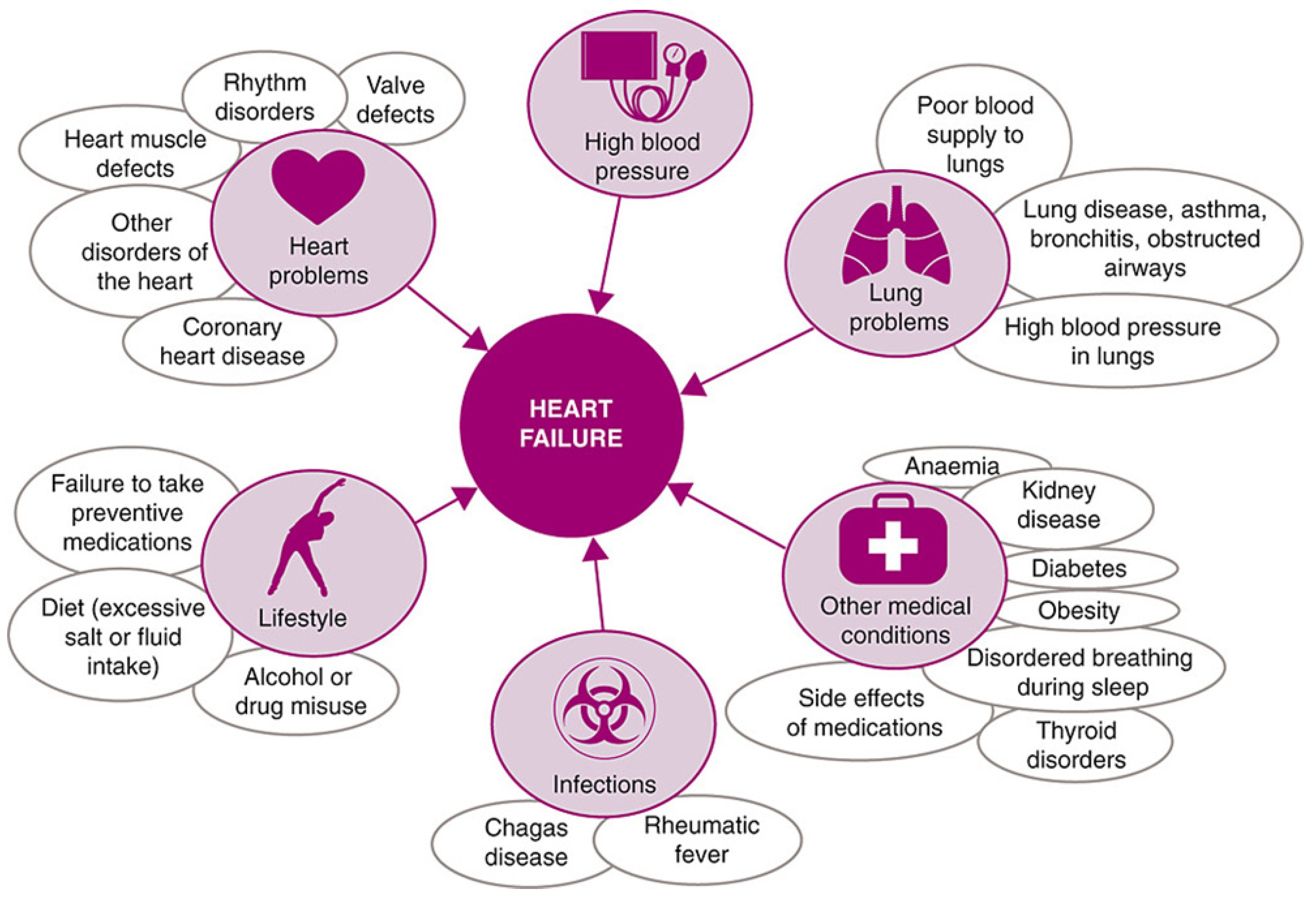 Biomimetics 10 00204 g002 Biomimetics 10 00204 g002