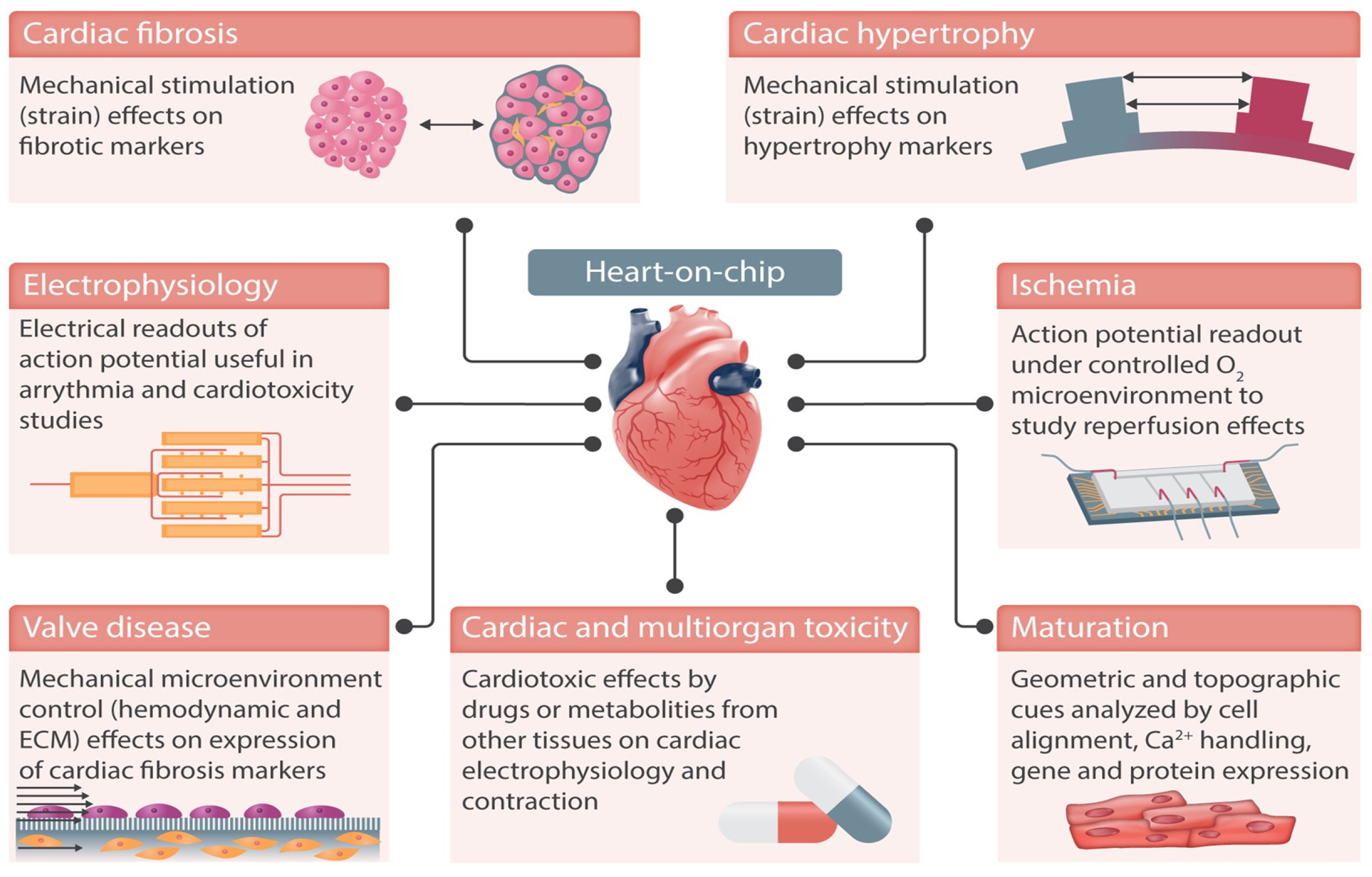 Biomimetics 10 00204 g005 Biomimetics 10 00204 g005