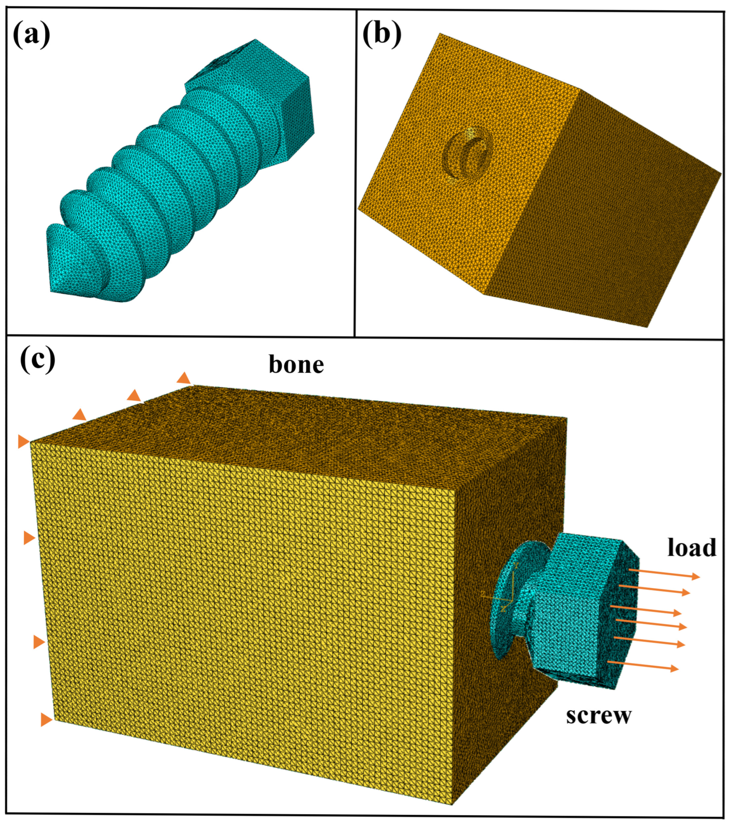Biomimetics 10 00210 g002