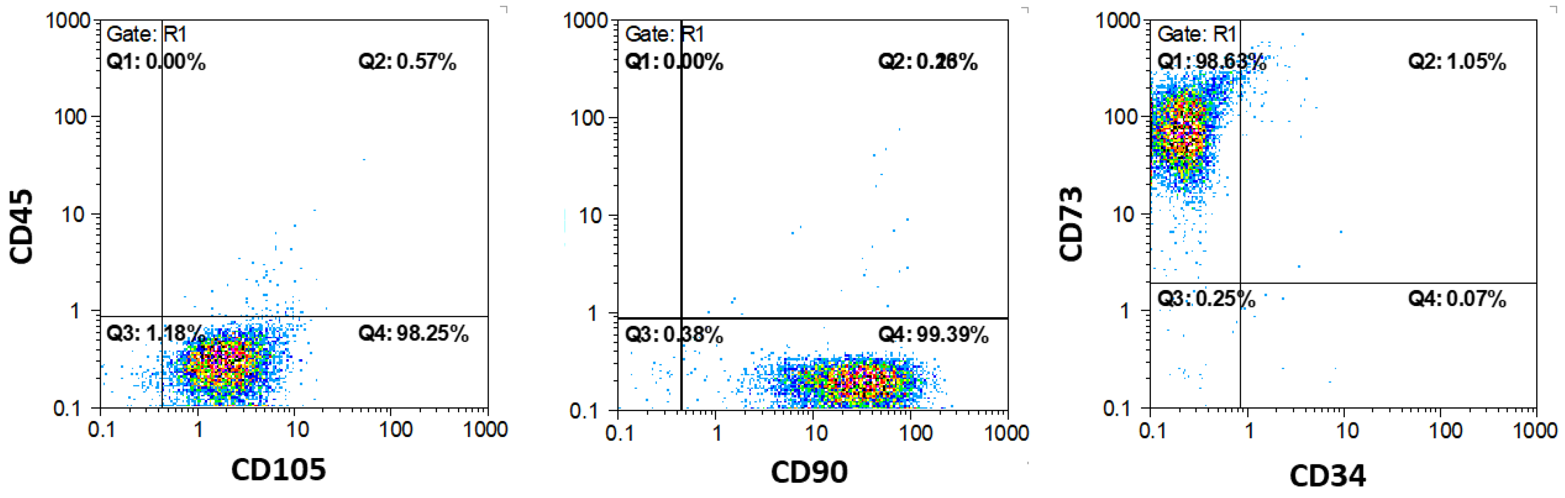 Biomimetics 10 00216 g007