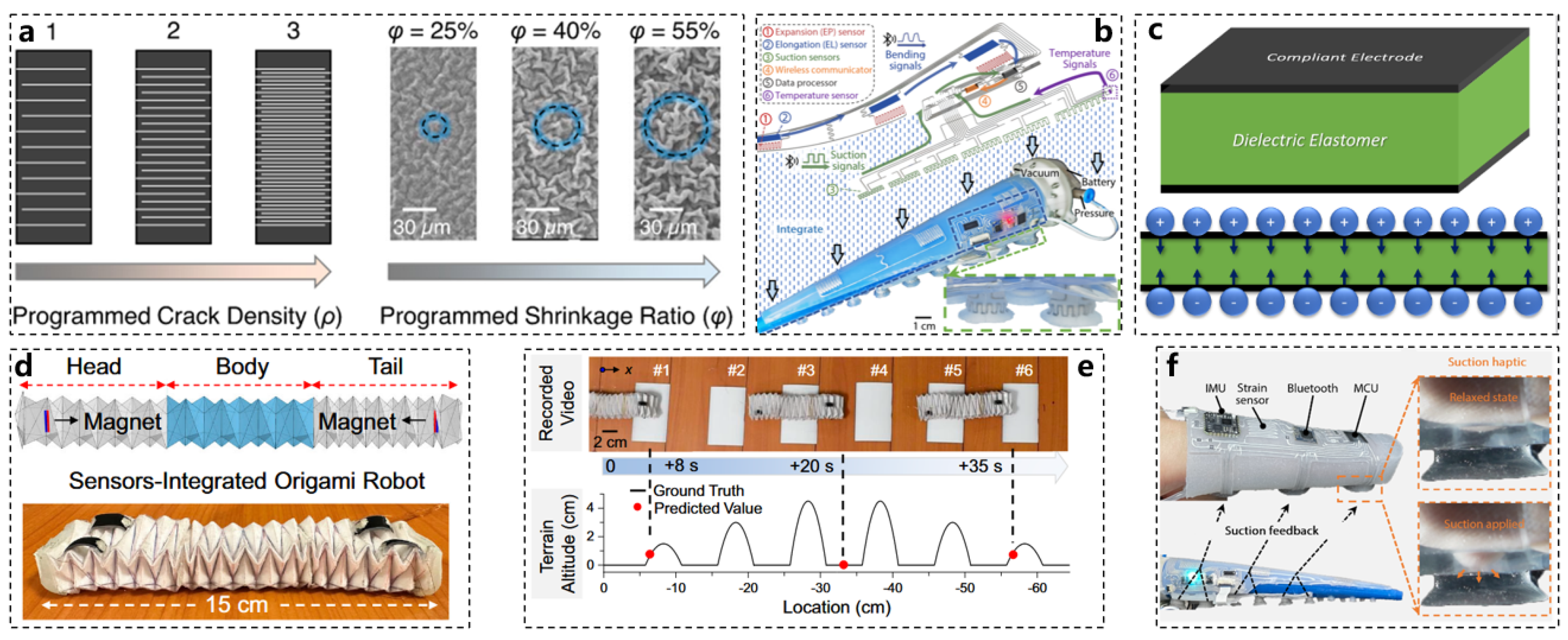 Biomimetics 10 00224 g002