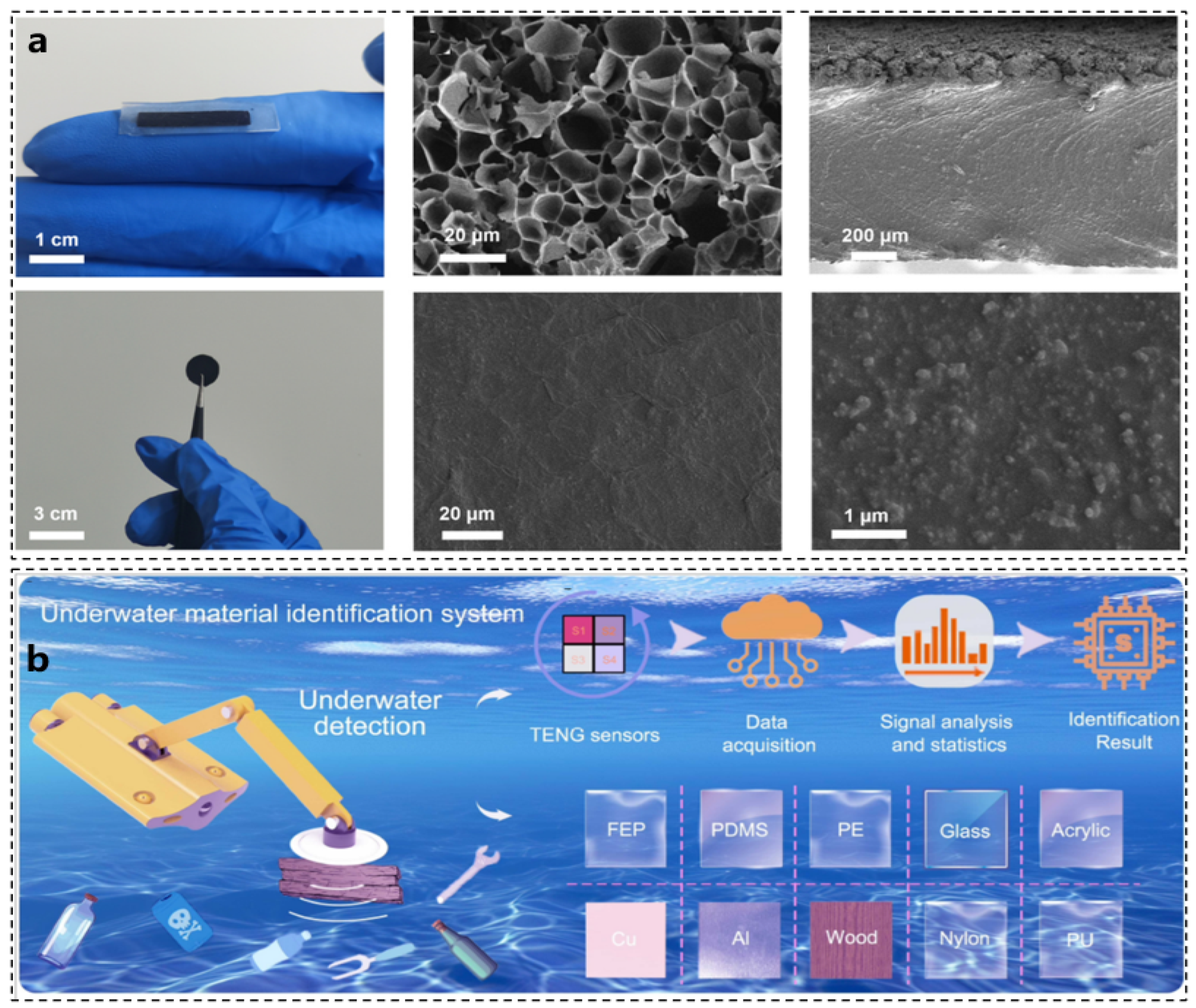 Biomimetics 10 00224 g003