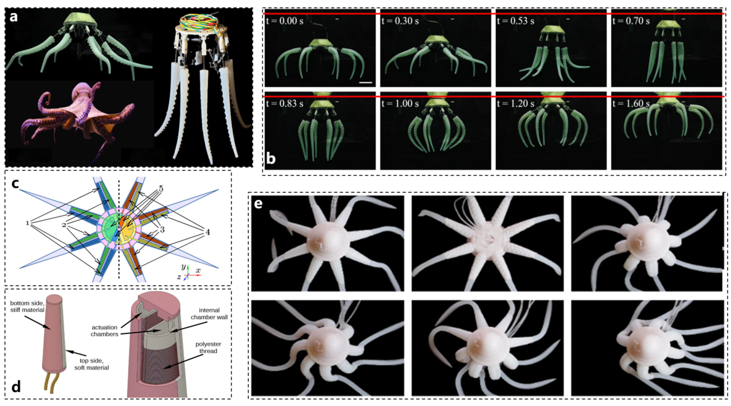 Biomimetics 10 00224 g005