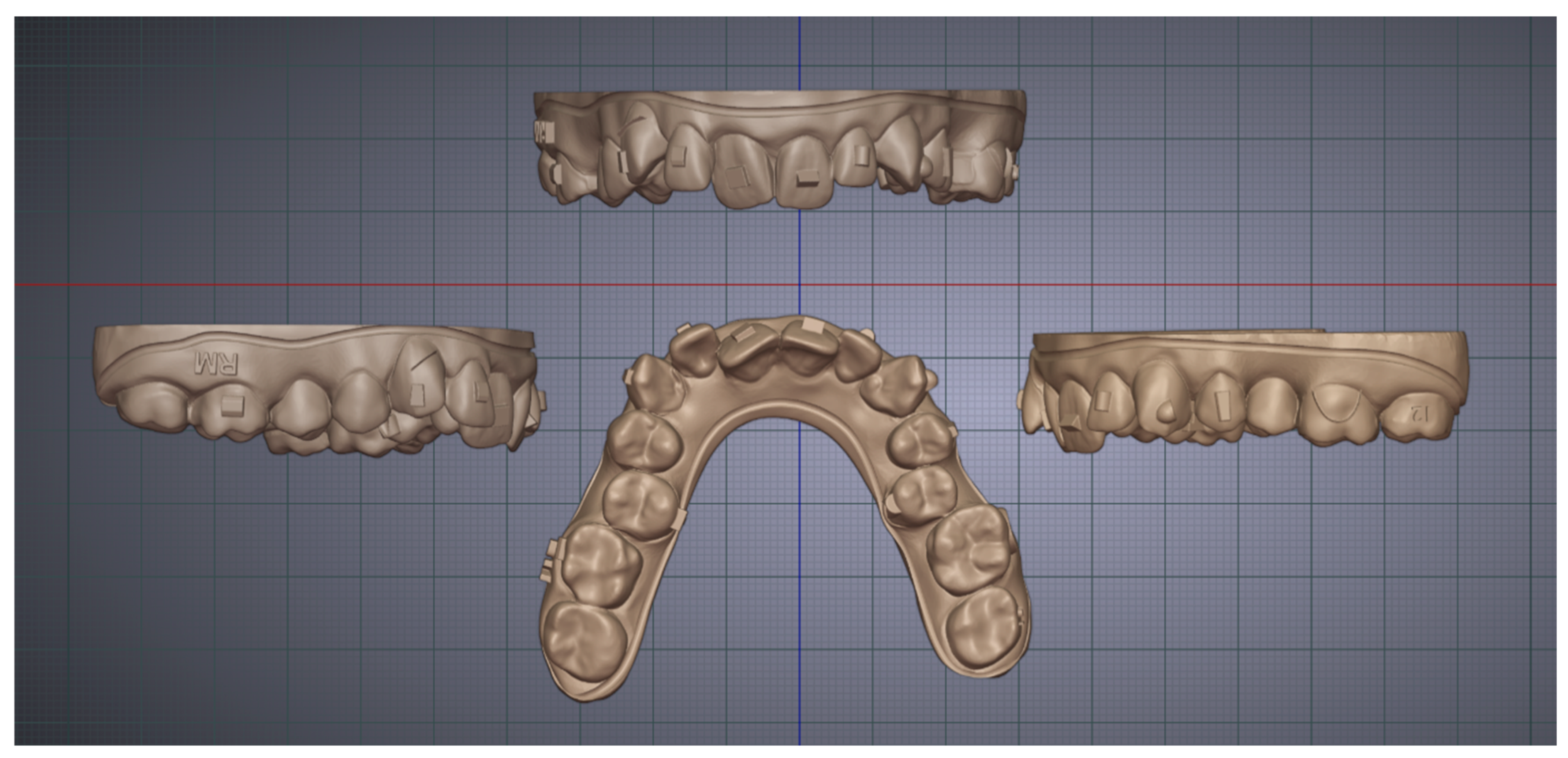 Biomimetics 10 00249 g001
