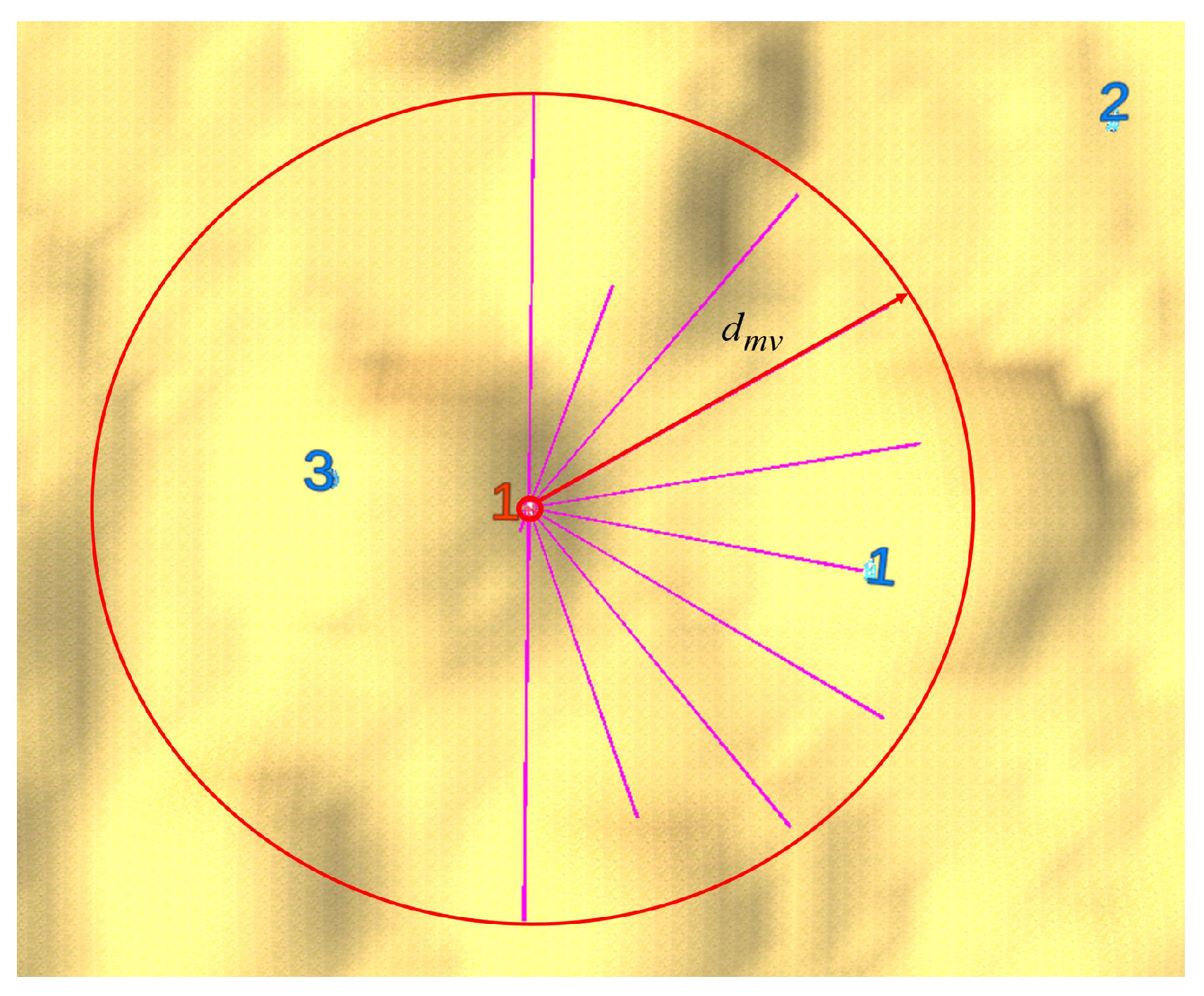 Biomimetics 10 00257 g003