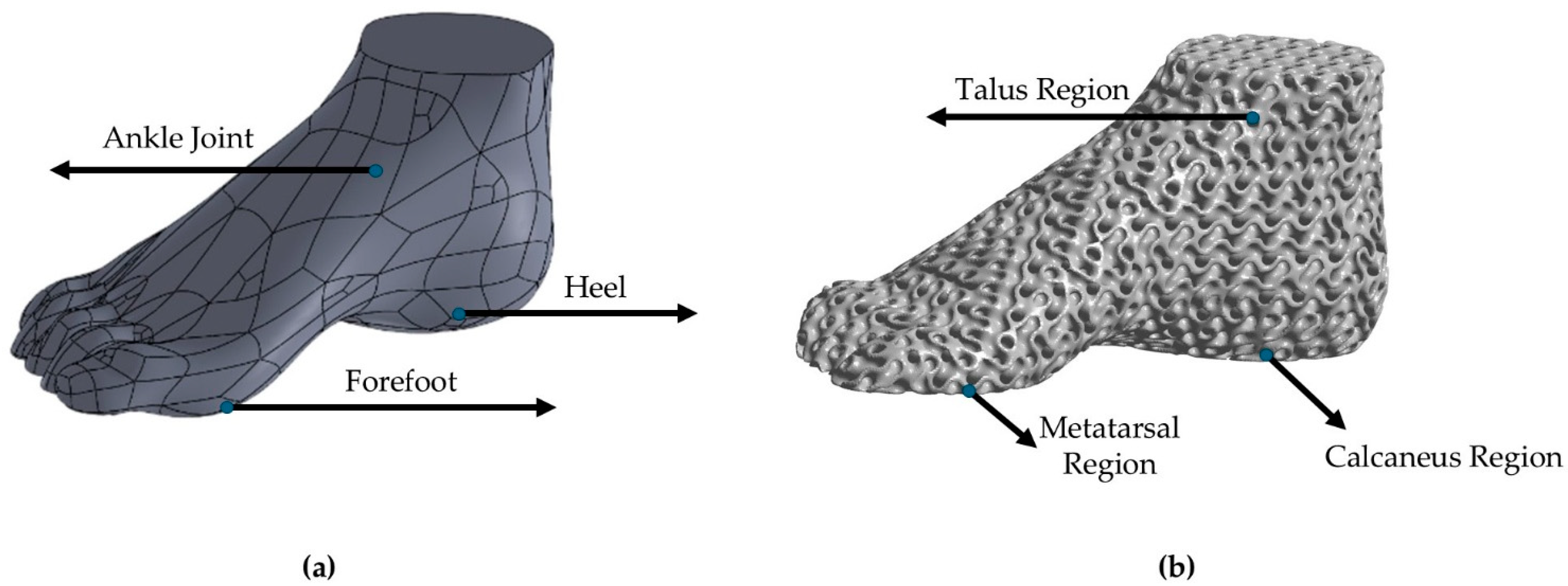 Biomimetics 10 00261 g003