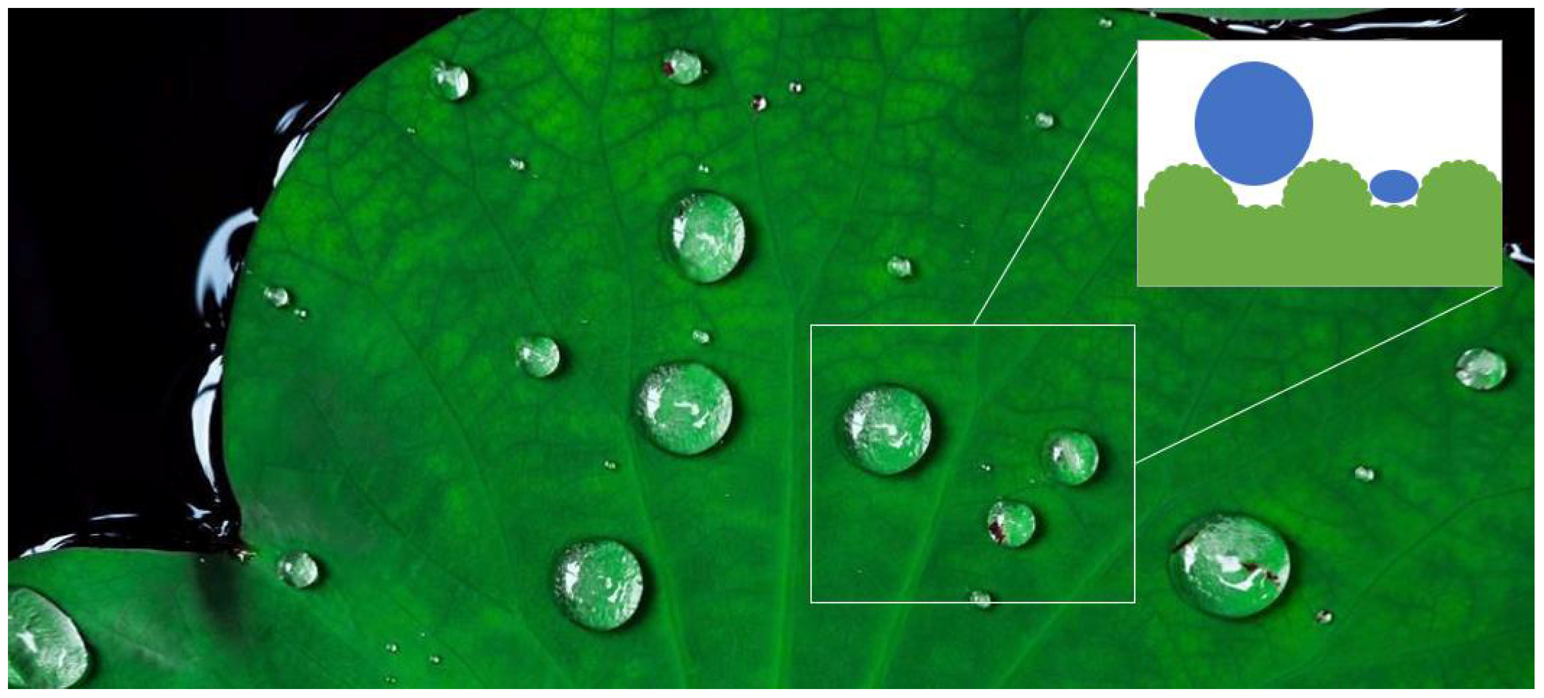 Biomimetics 10 00262 sch001