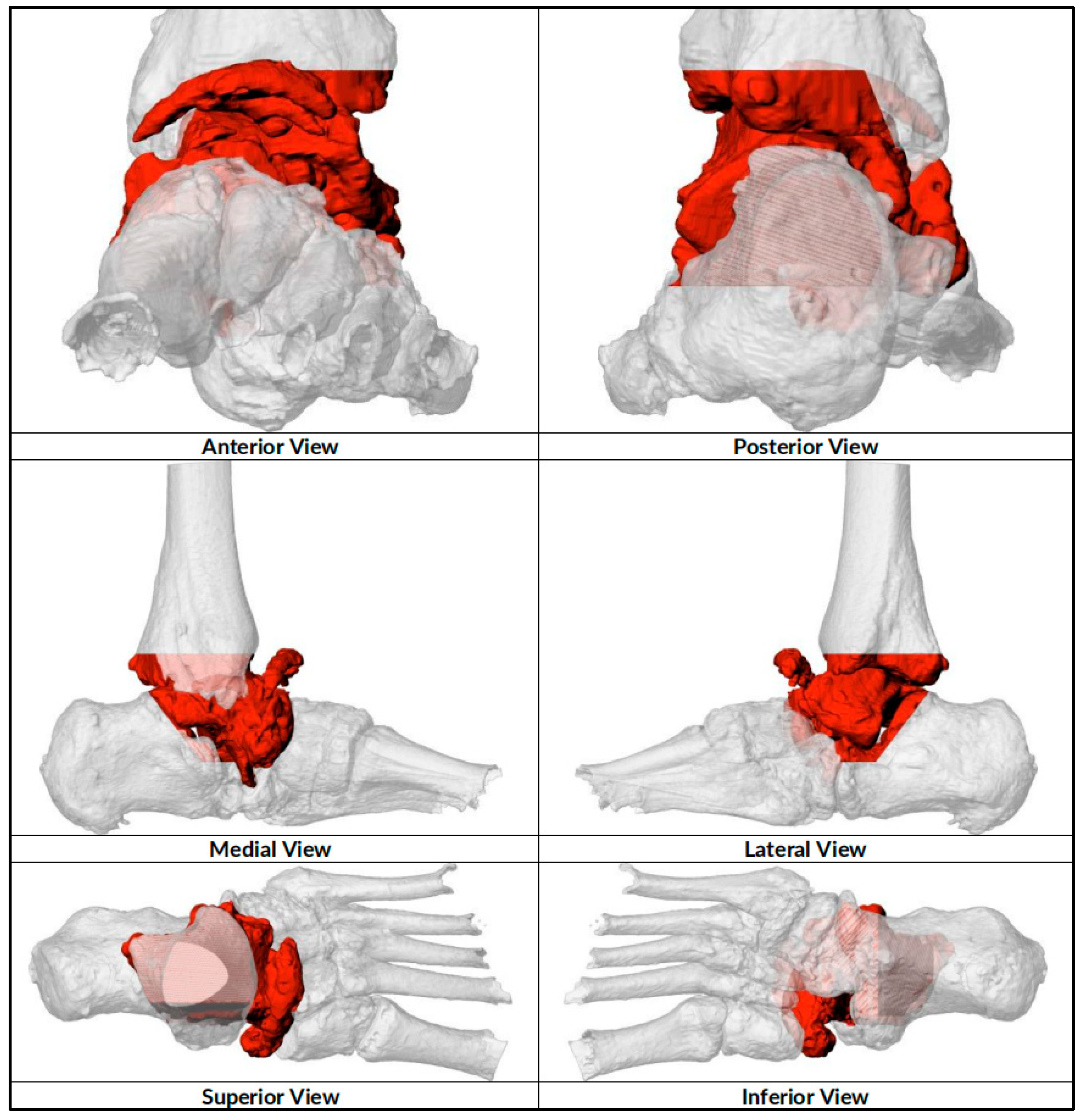 Biomimetics 10 00269 g001