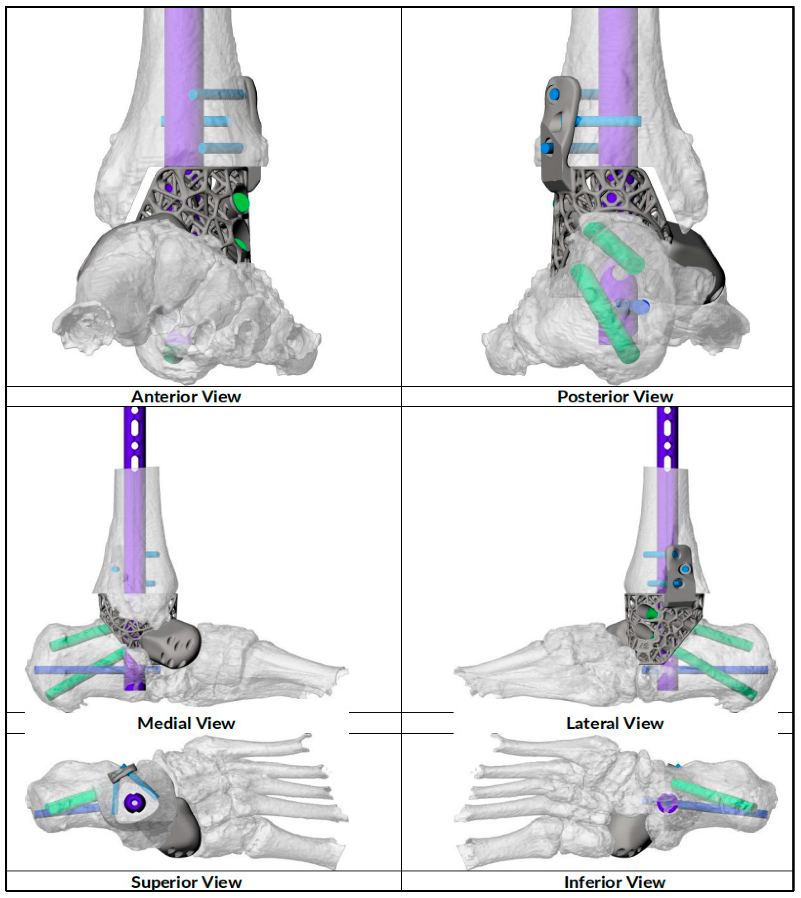 Biomimetics 10 00269 g002