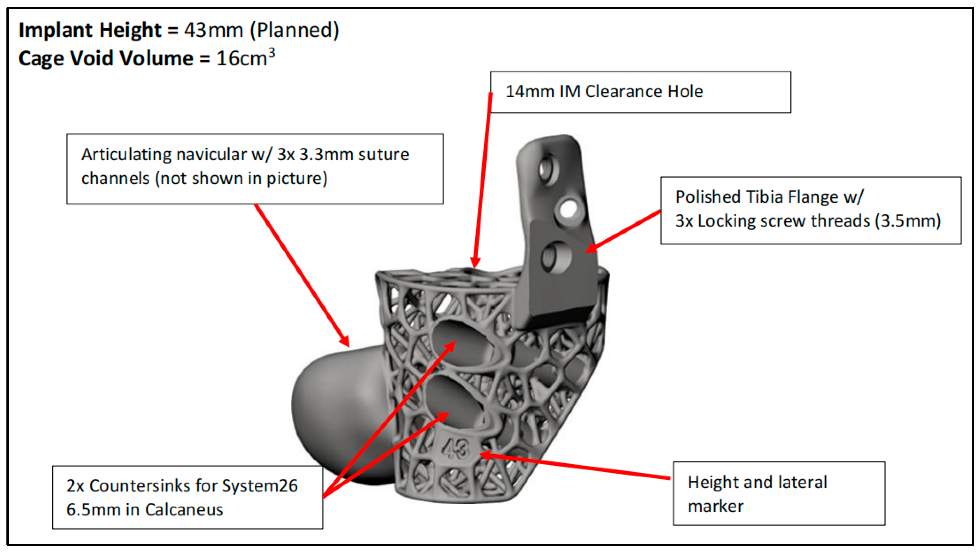 Biomimetics 10 00269 g004