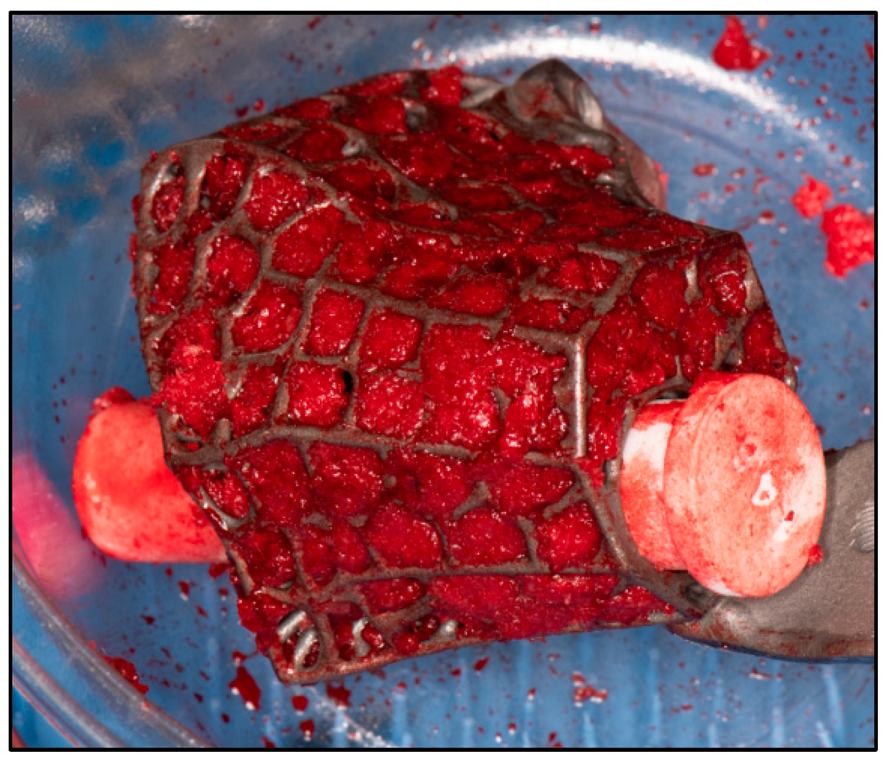 Biomimetics 10 00269 g007