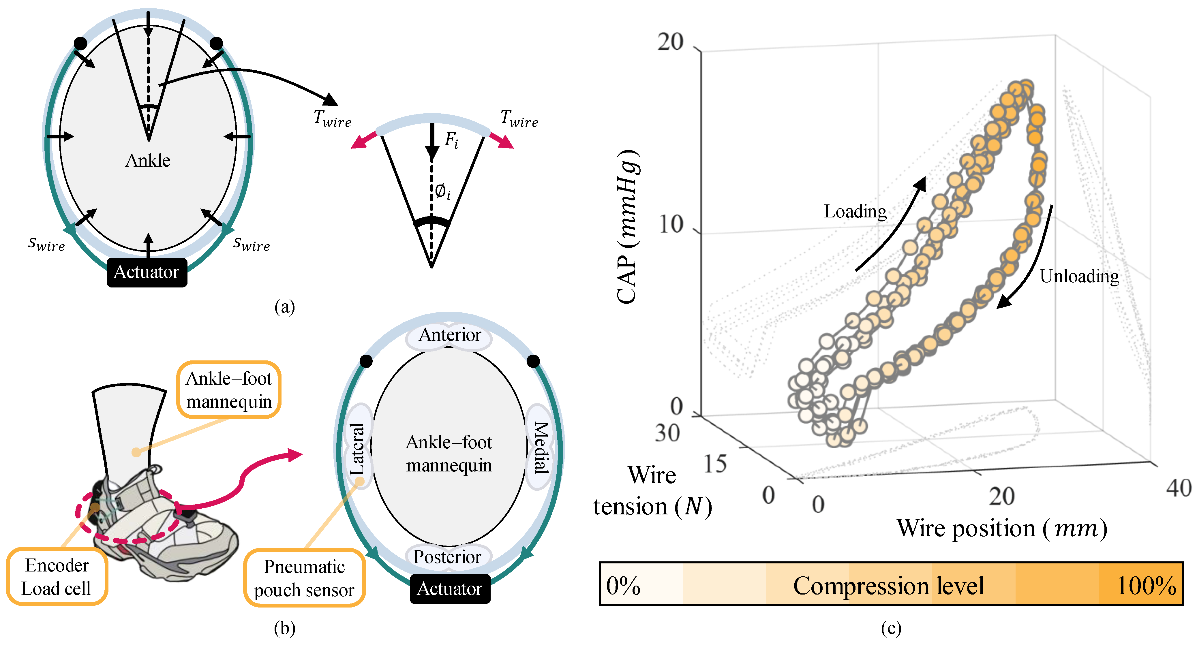 Biomimetics 10 00539 g003 Biomimetics 10 00539 g003