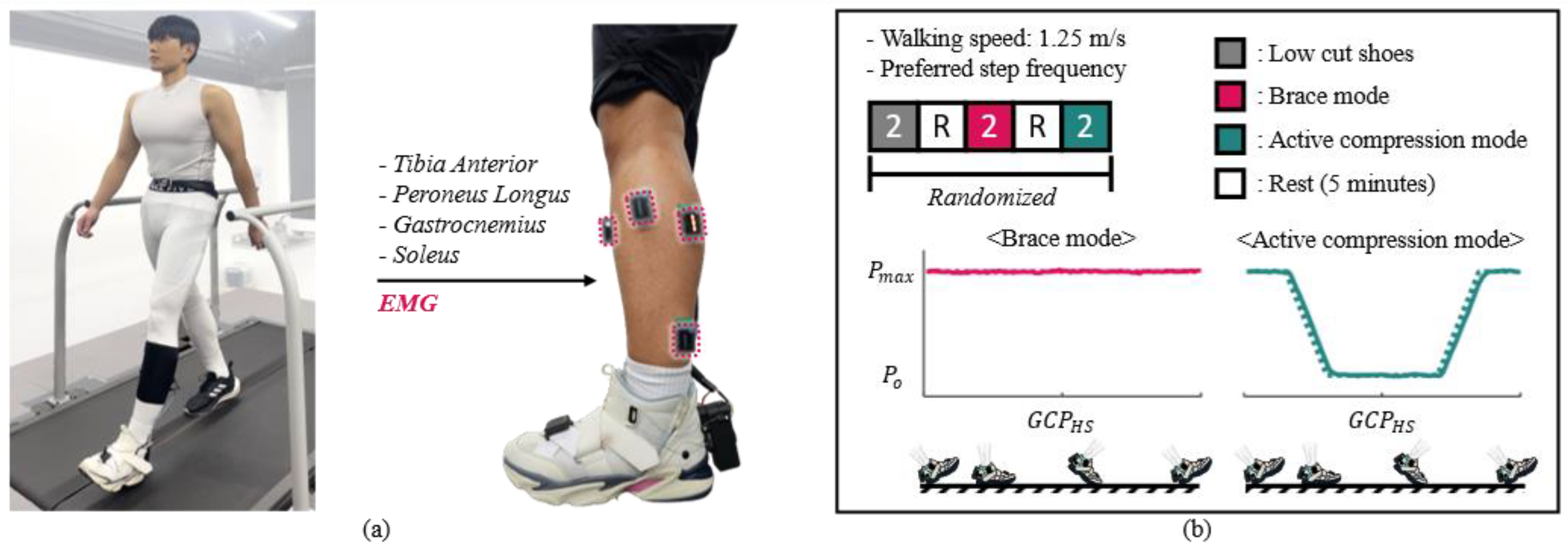 Biomimetics 10 00539 g005 Biomimetics 10 00539 g005