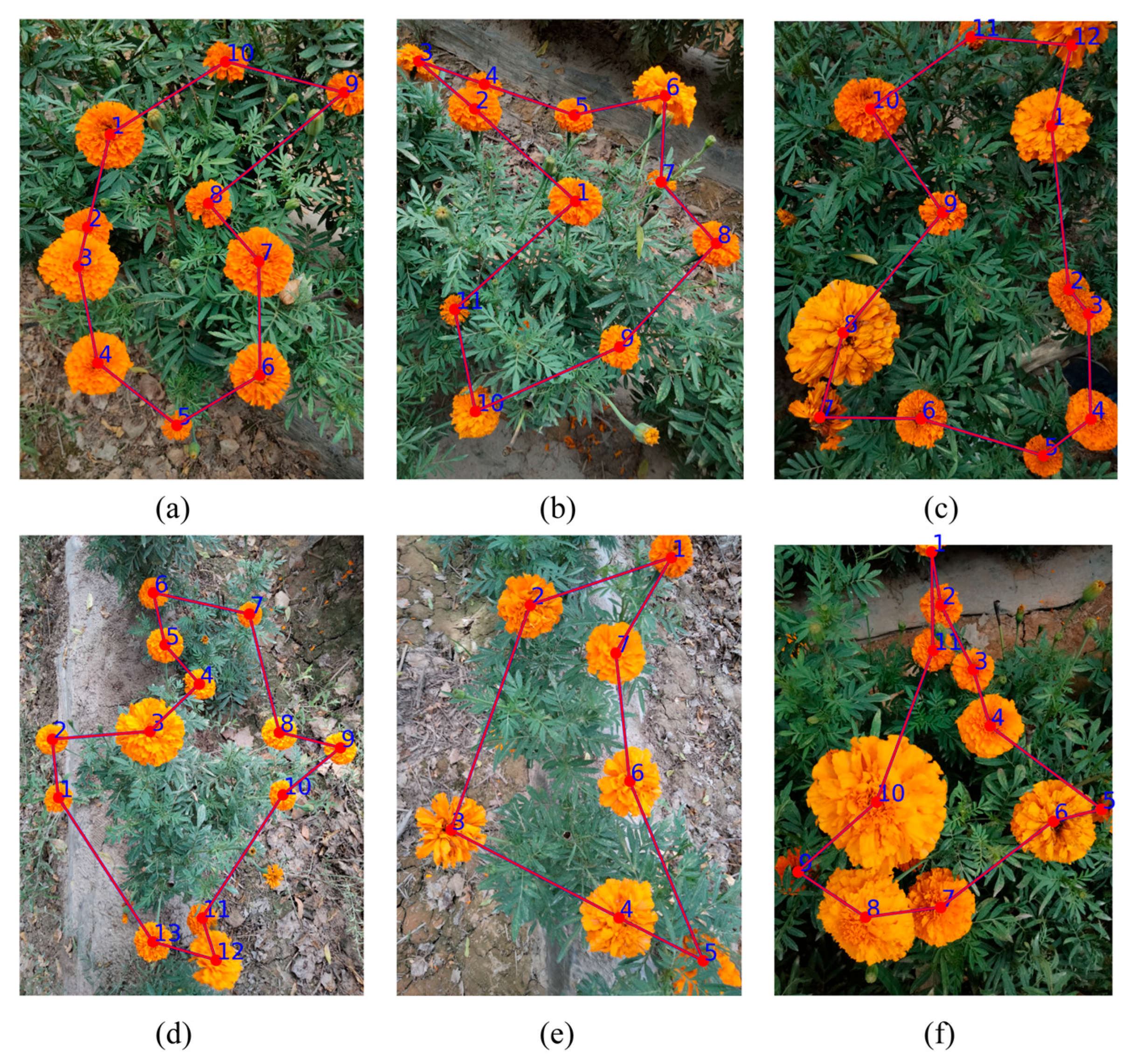 Biomimetics 10 00648 g011 Biomimetics 10 00648 g011