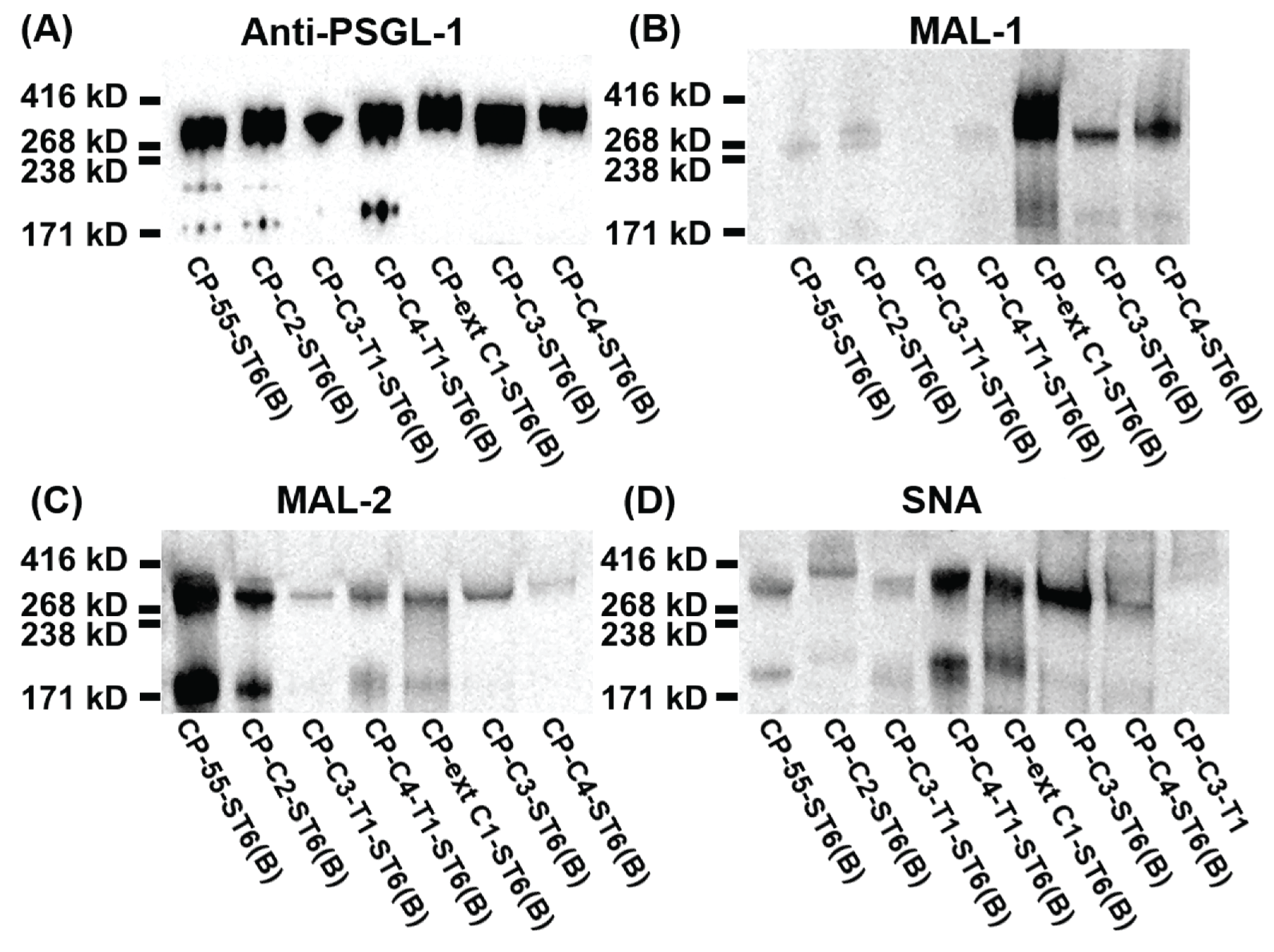 Biomolecules 05 01810 g006