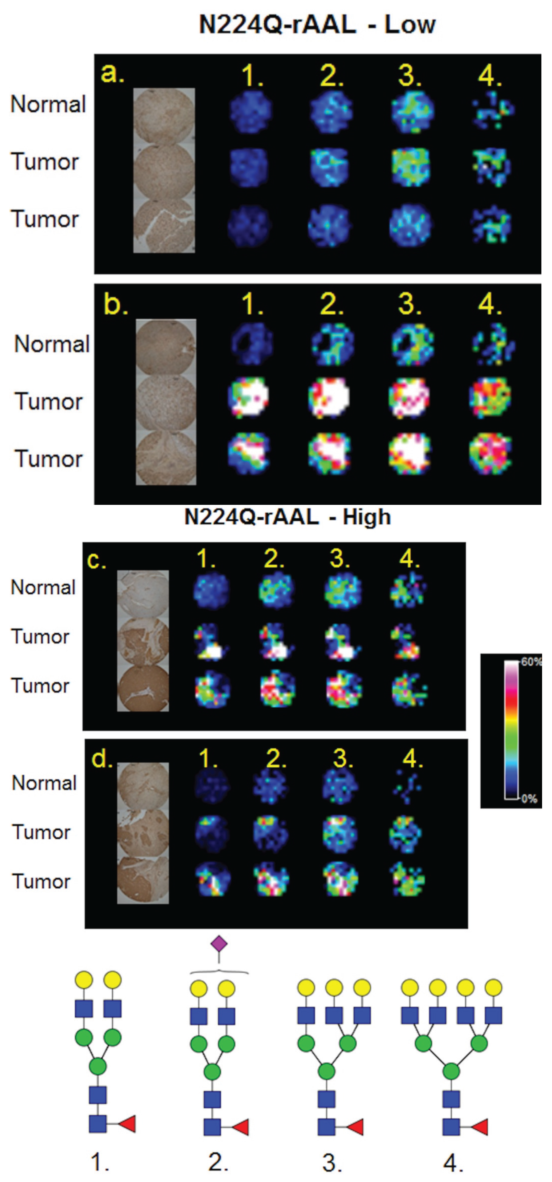 Biomolecules 05 02554 g005