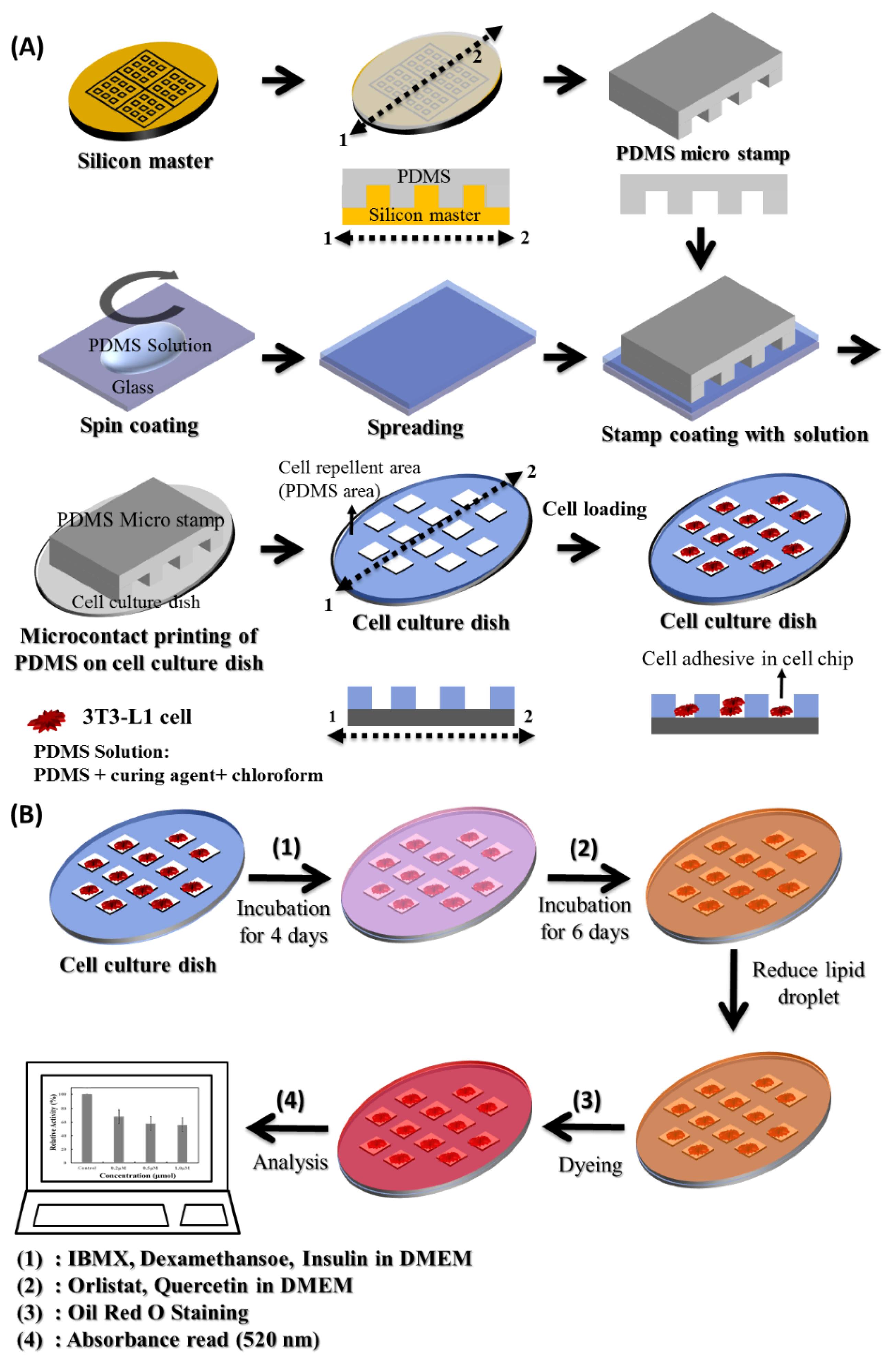 Biomolecules Free Full Text Simple Analysis Of Lipid Inhibition Activity On An Adipocyte Micro Cell Pattern Chip Html