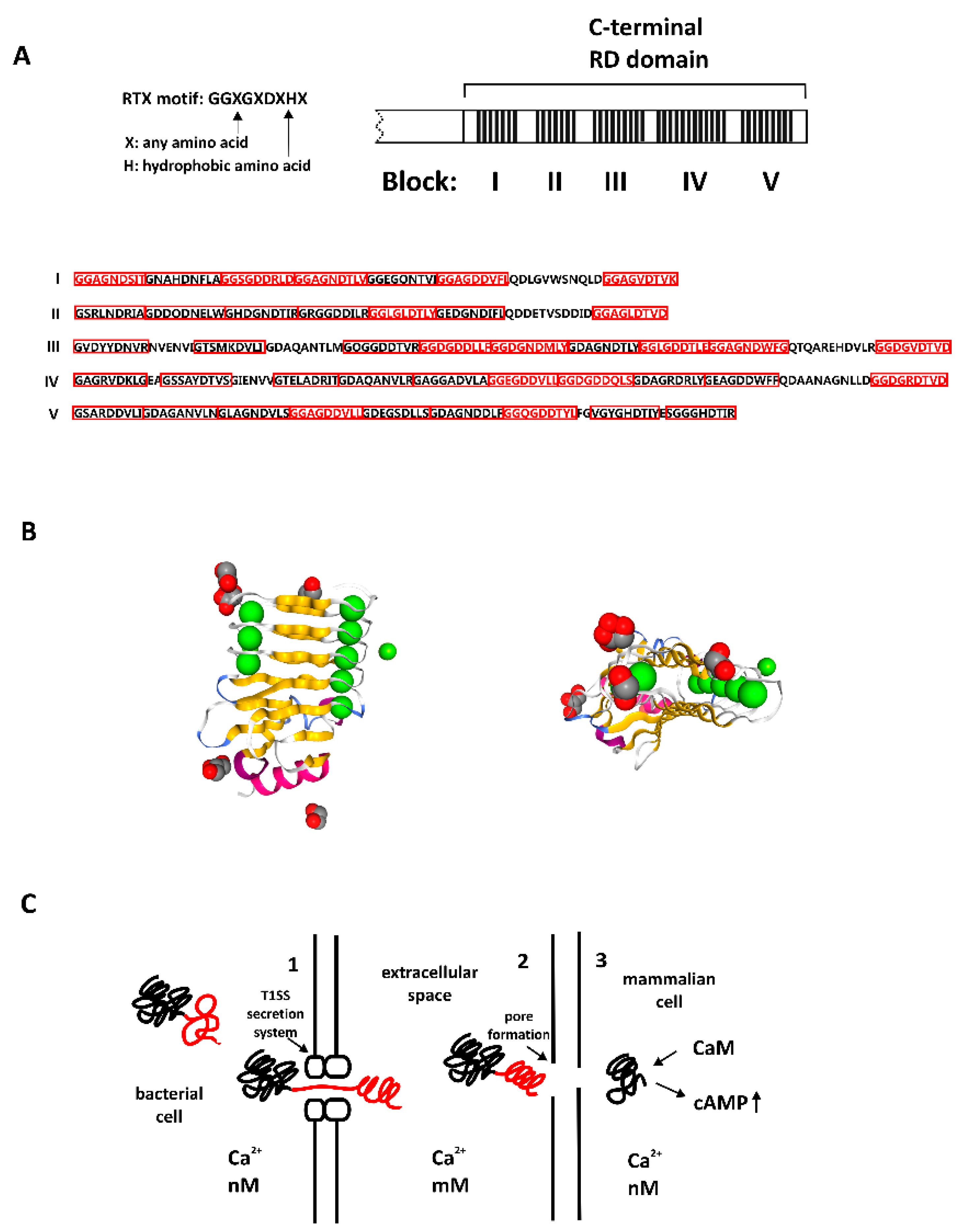 Biomolecules | Free Full-Text | Calcium-Binding Proteins with Disordered  Structure and Their Role in Secretion, Storage, and Cellular Signaling