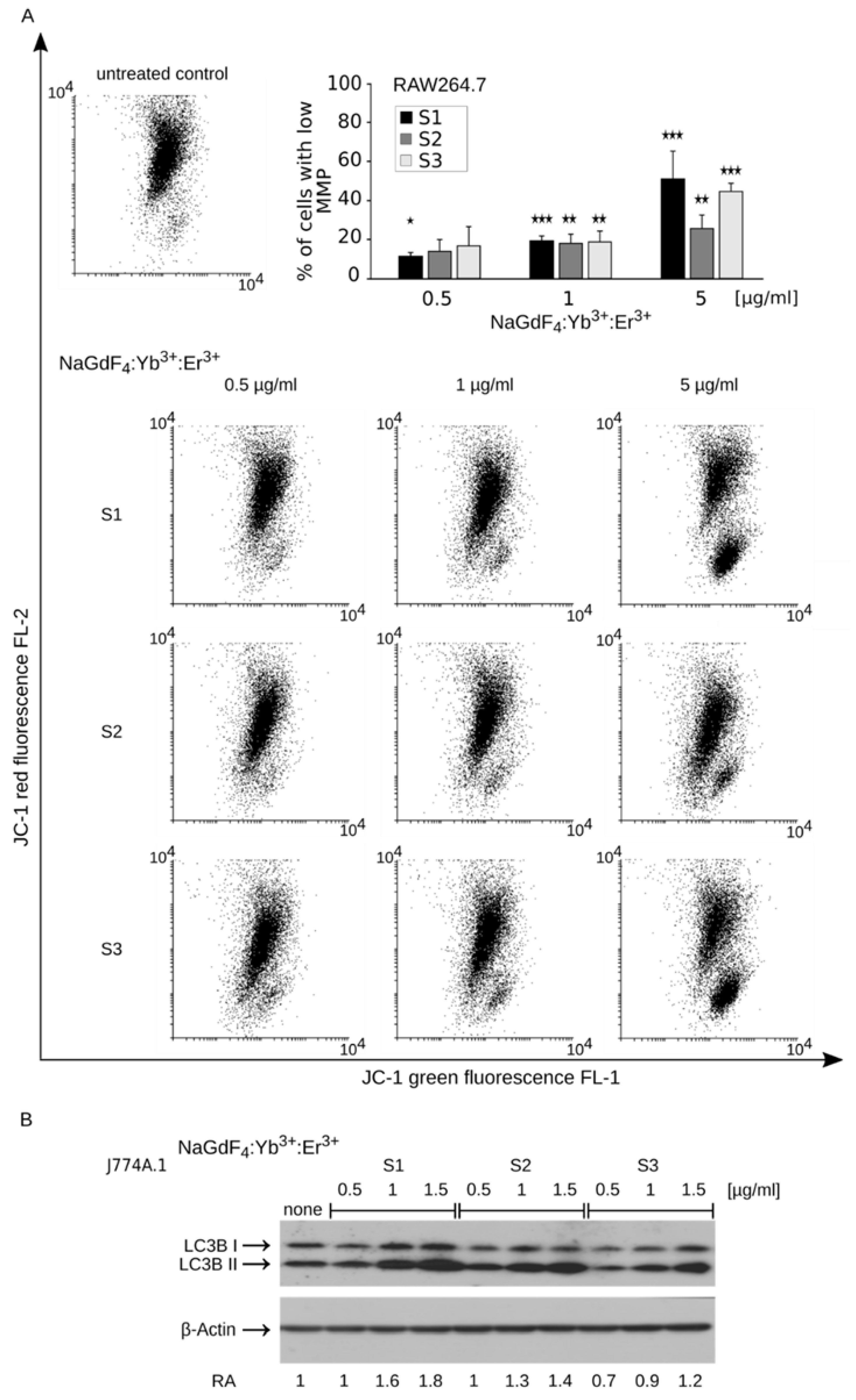 Biomolecules 09 00014 g006