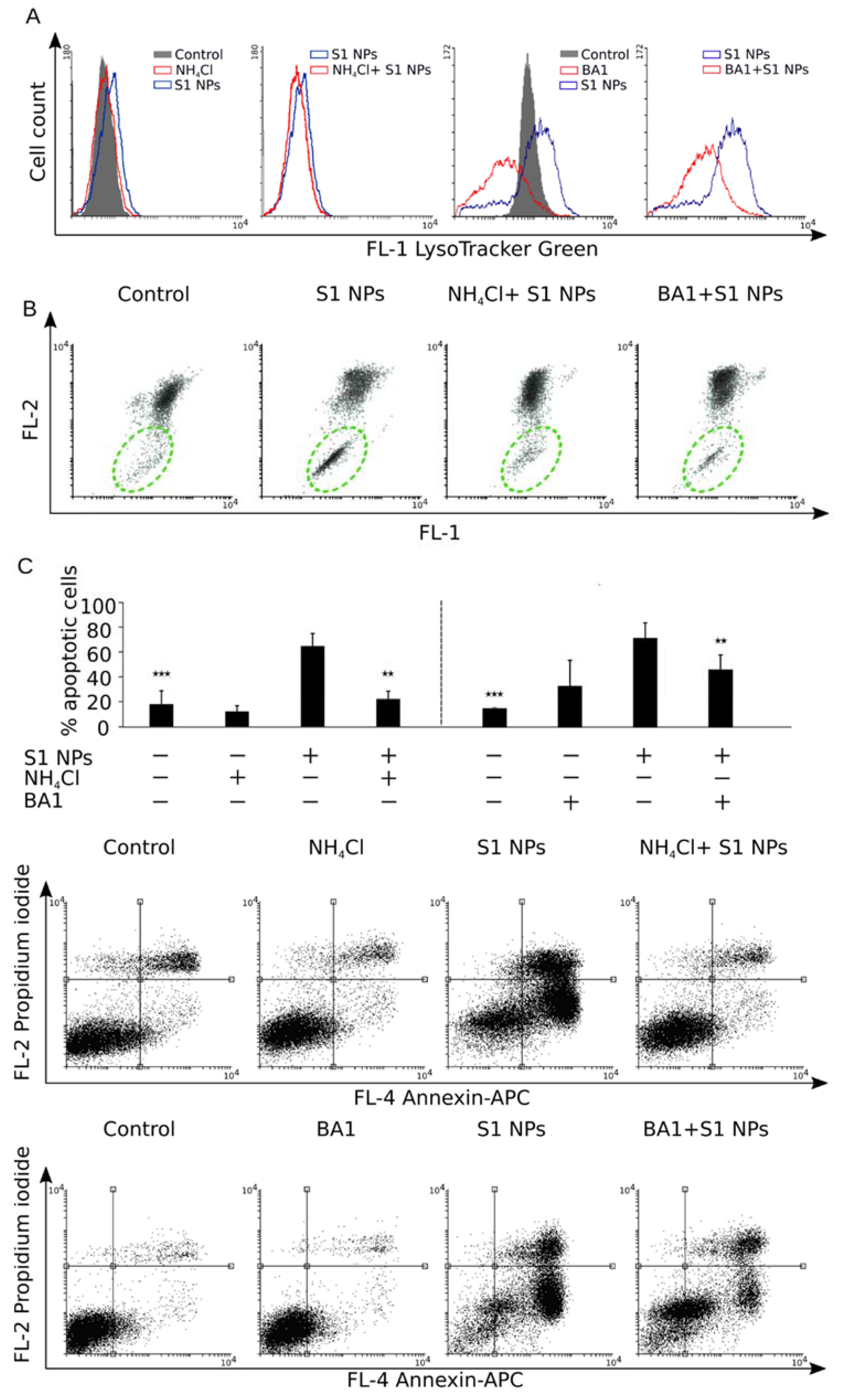 Biomolecules 09 00014 g009
