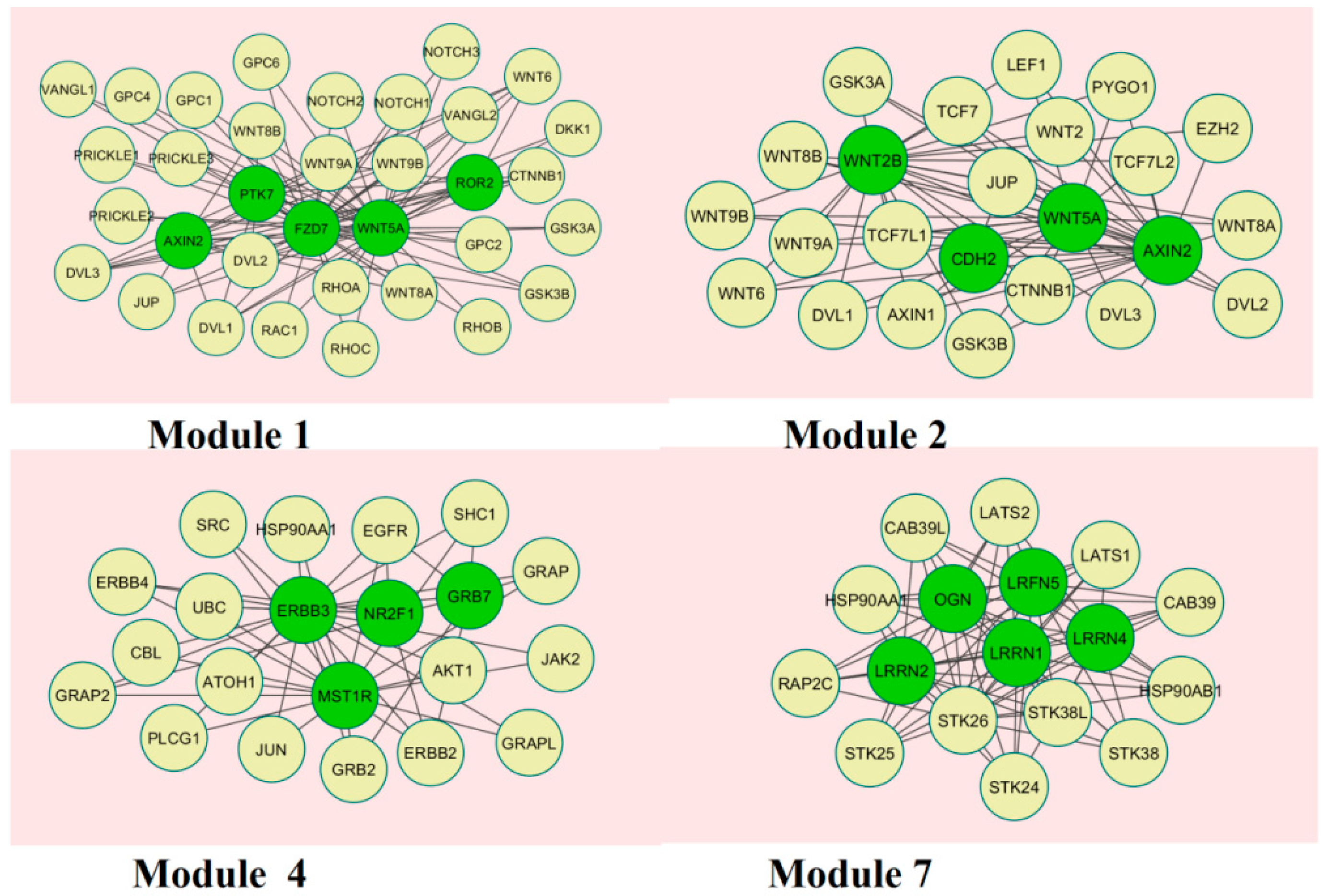 Biomolecules 09 00037 g010 Biomolecules 09 00037 g010