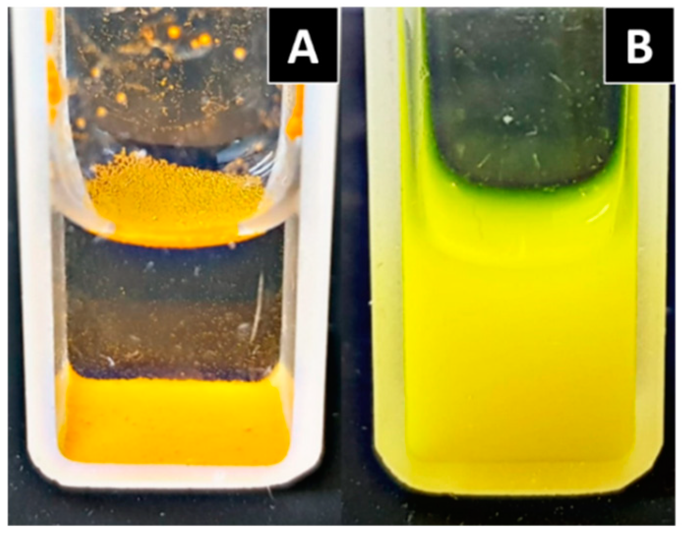 Biomolecules 09 00056 g010