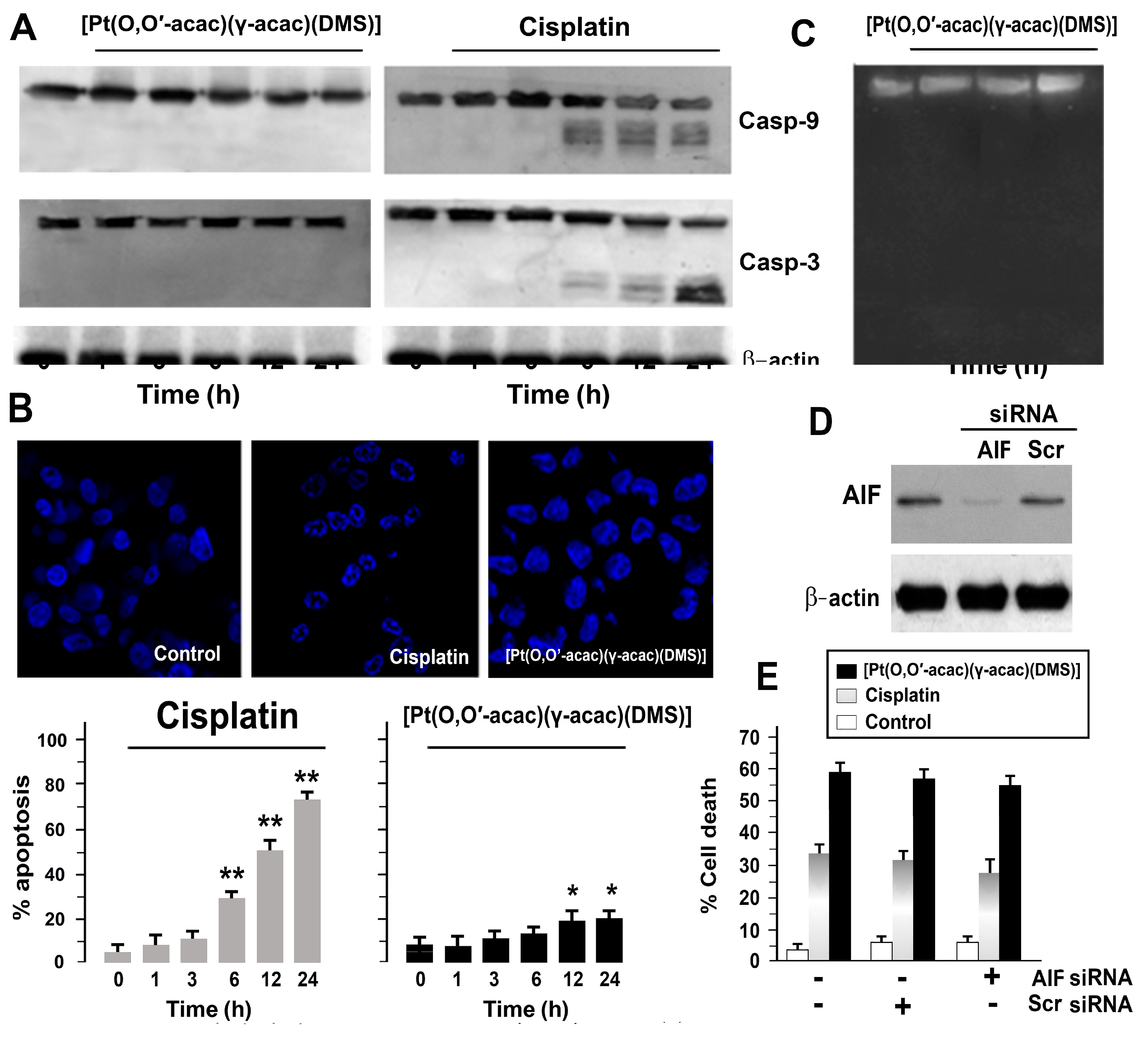 Biomolecules 09 00092 g002
