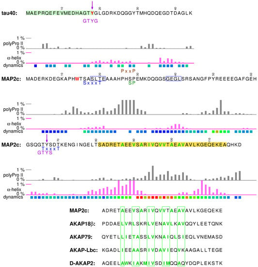 Effects of three microtubule-associated proteins (MAP2, MAP4, and Tau) on  microtubules' physical properties and neurite morphology