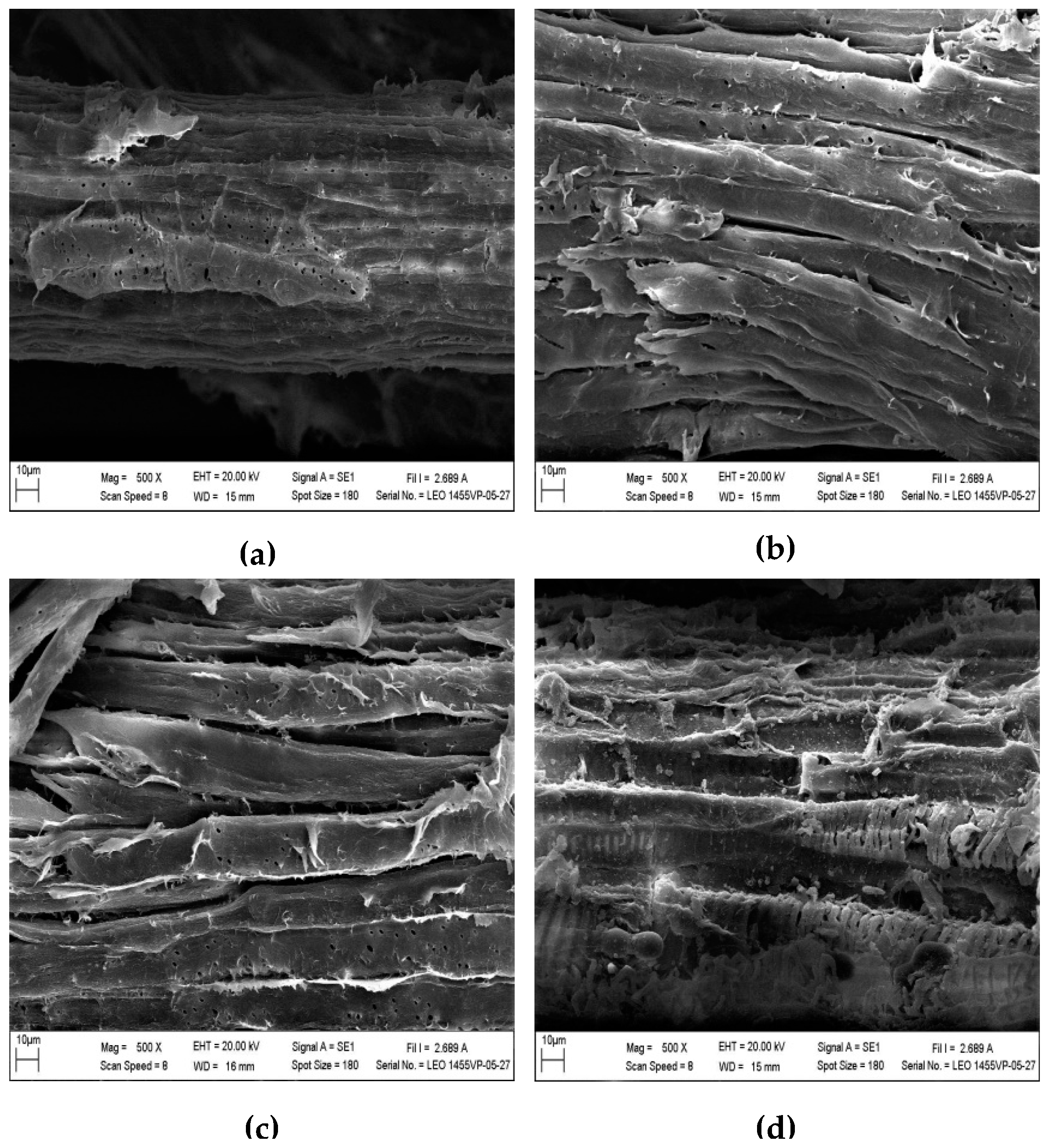 Biomolecules 09 00120 g004