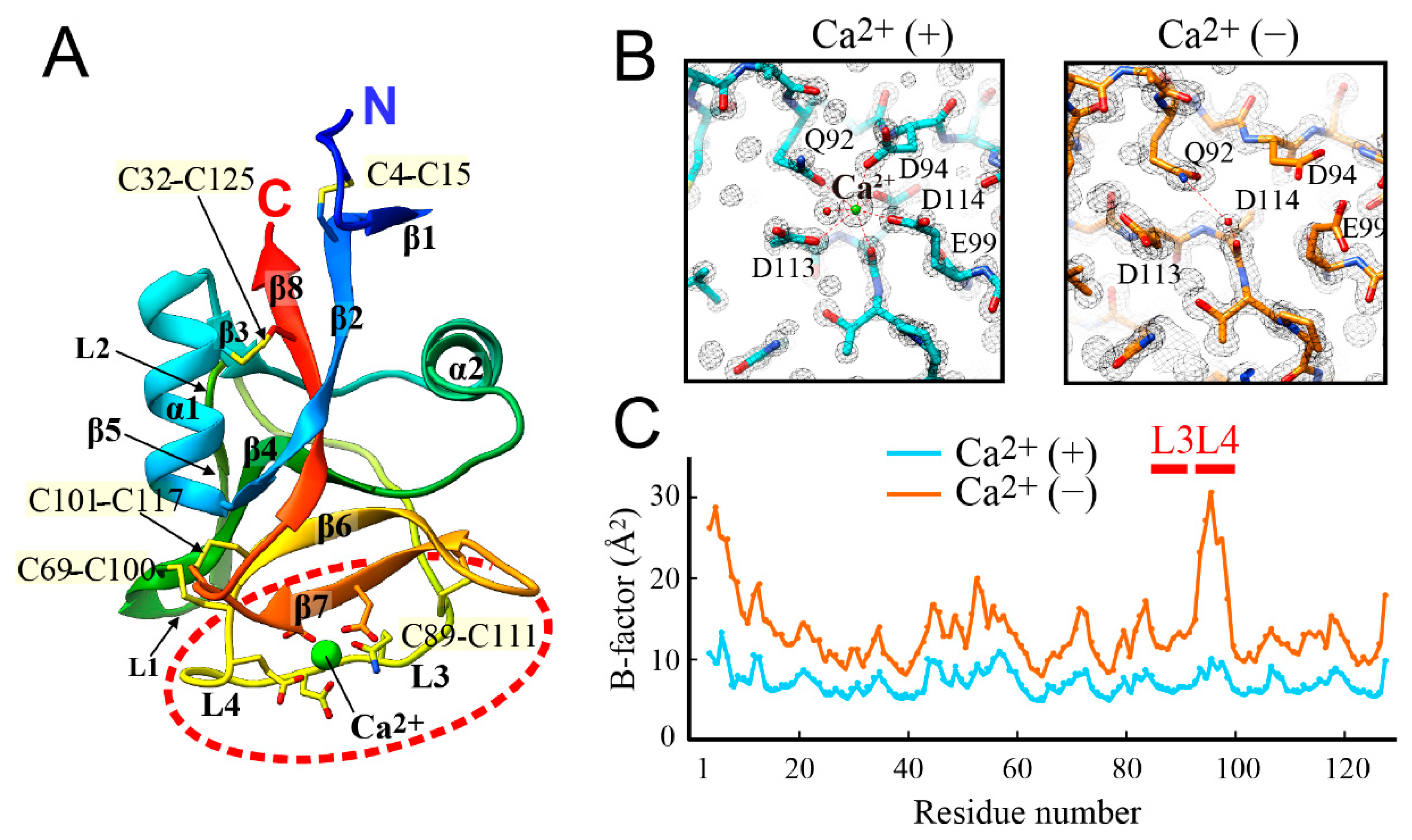 Biomolecules 09 00162 g003