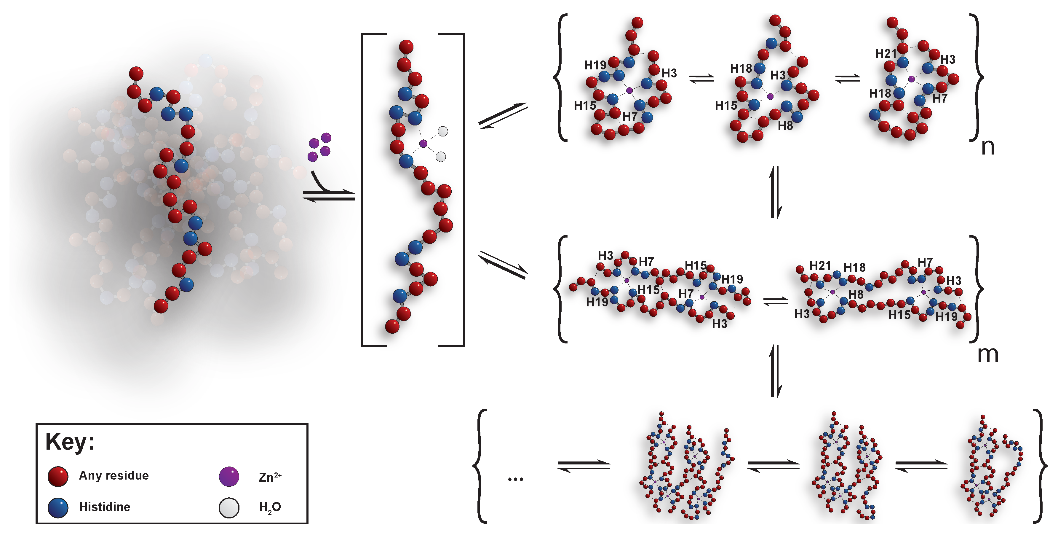 Biomolecules 09 00168 g011