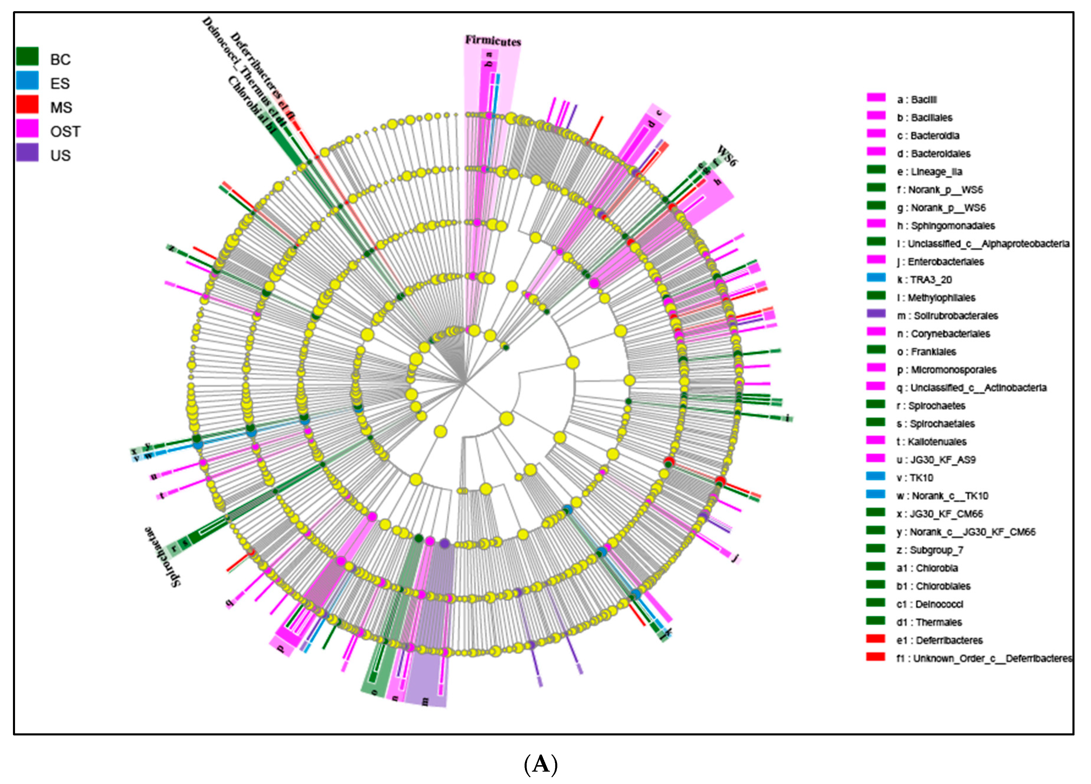 Biomolecules 09 00187 g003a Biomolecules 09 00187 g003a