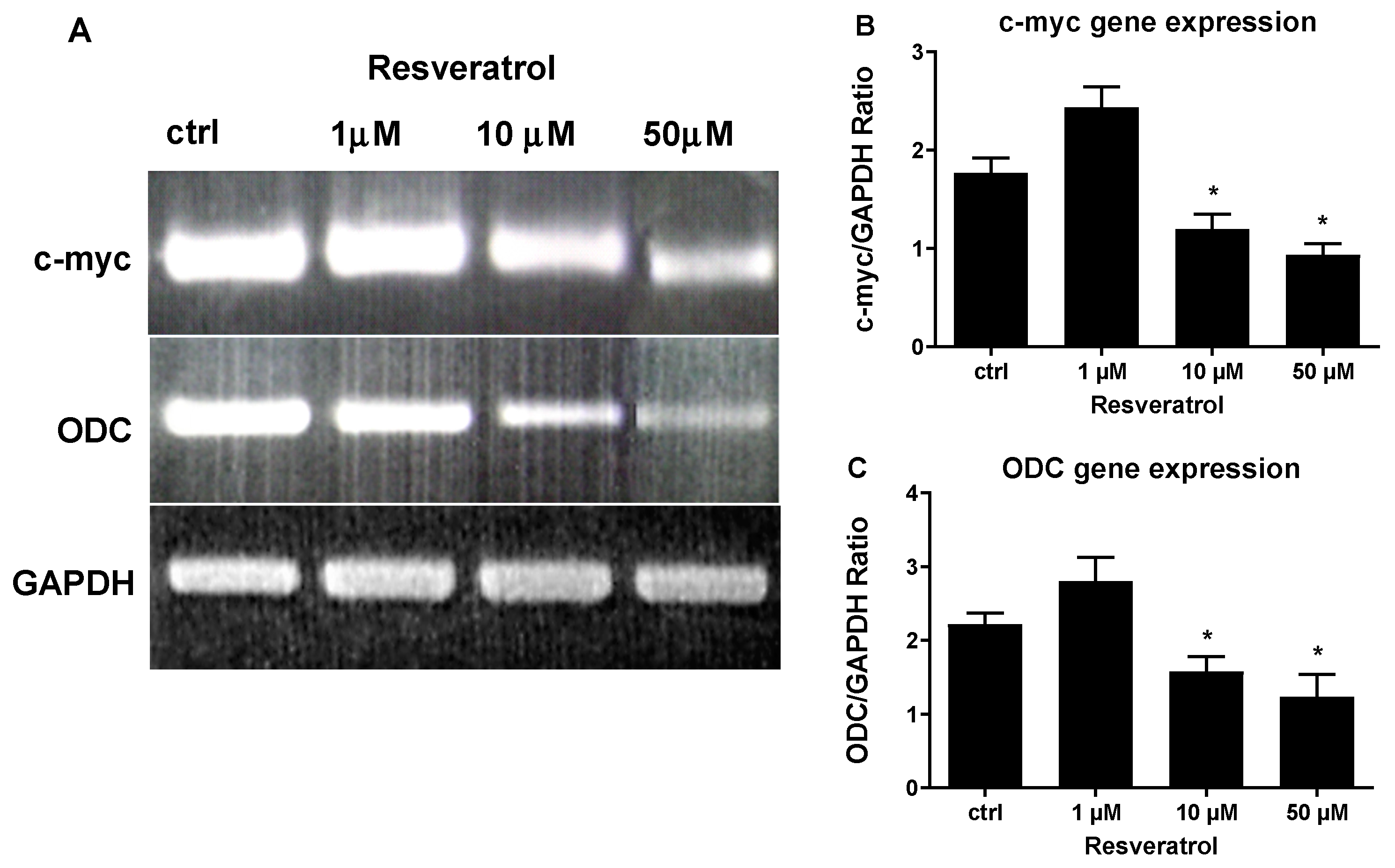 Biomolecules 09 00209 g004 Biomolecules 09 00209 g004