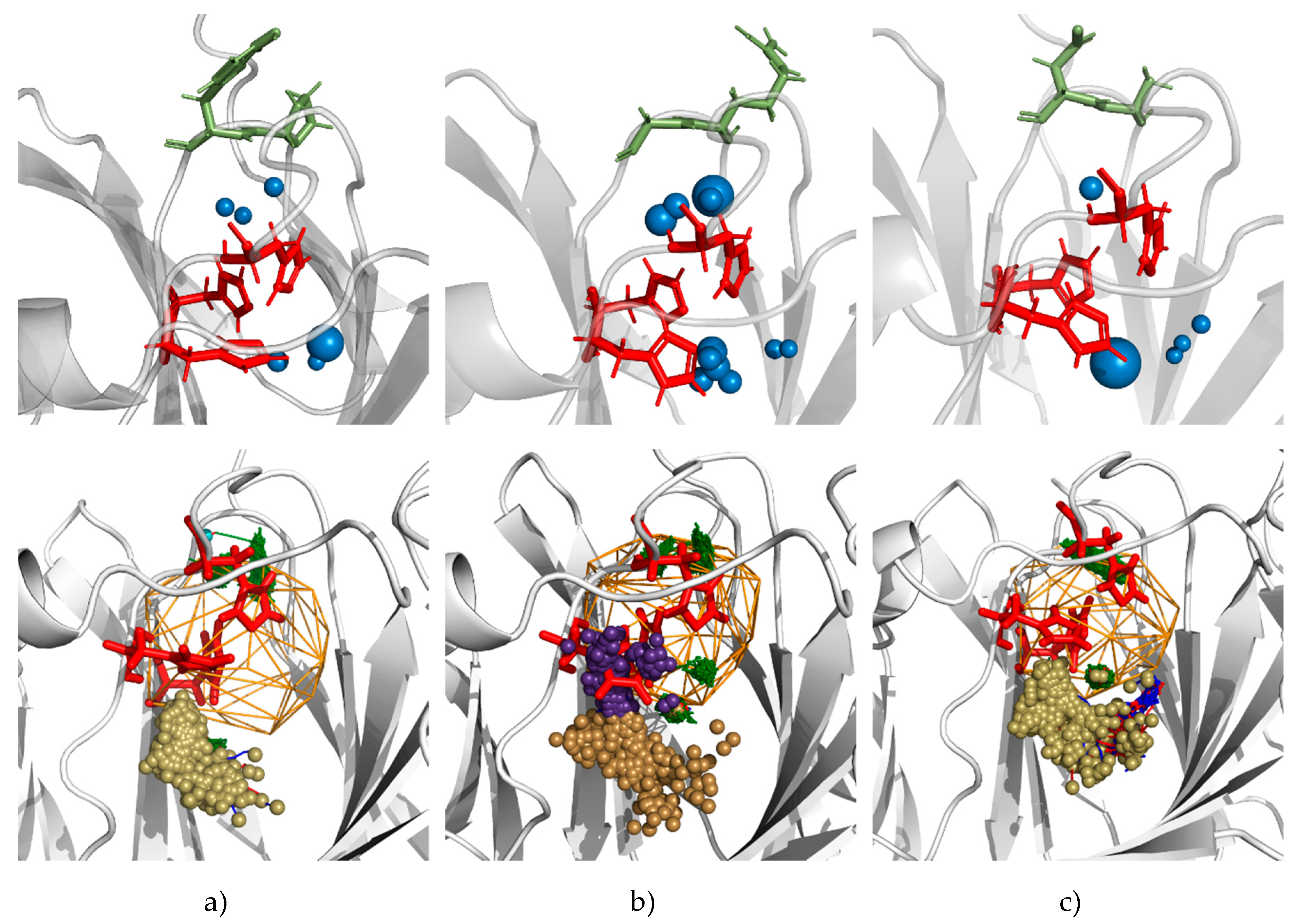 Biomolecules 09 00212 g007