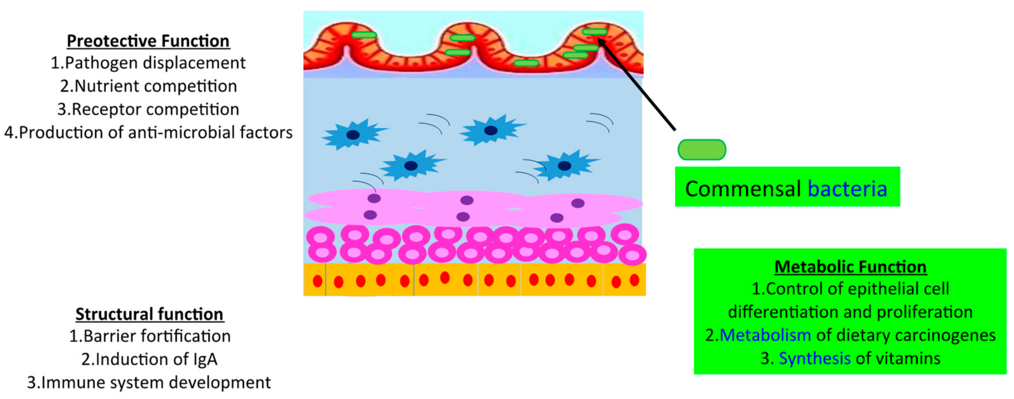 Biomolecules 09 00237 g001
