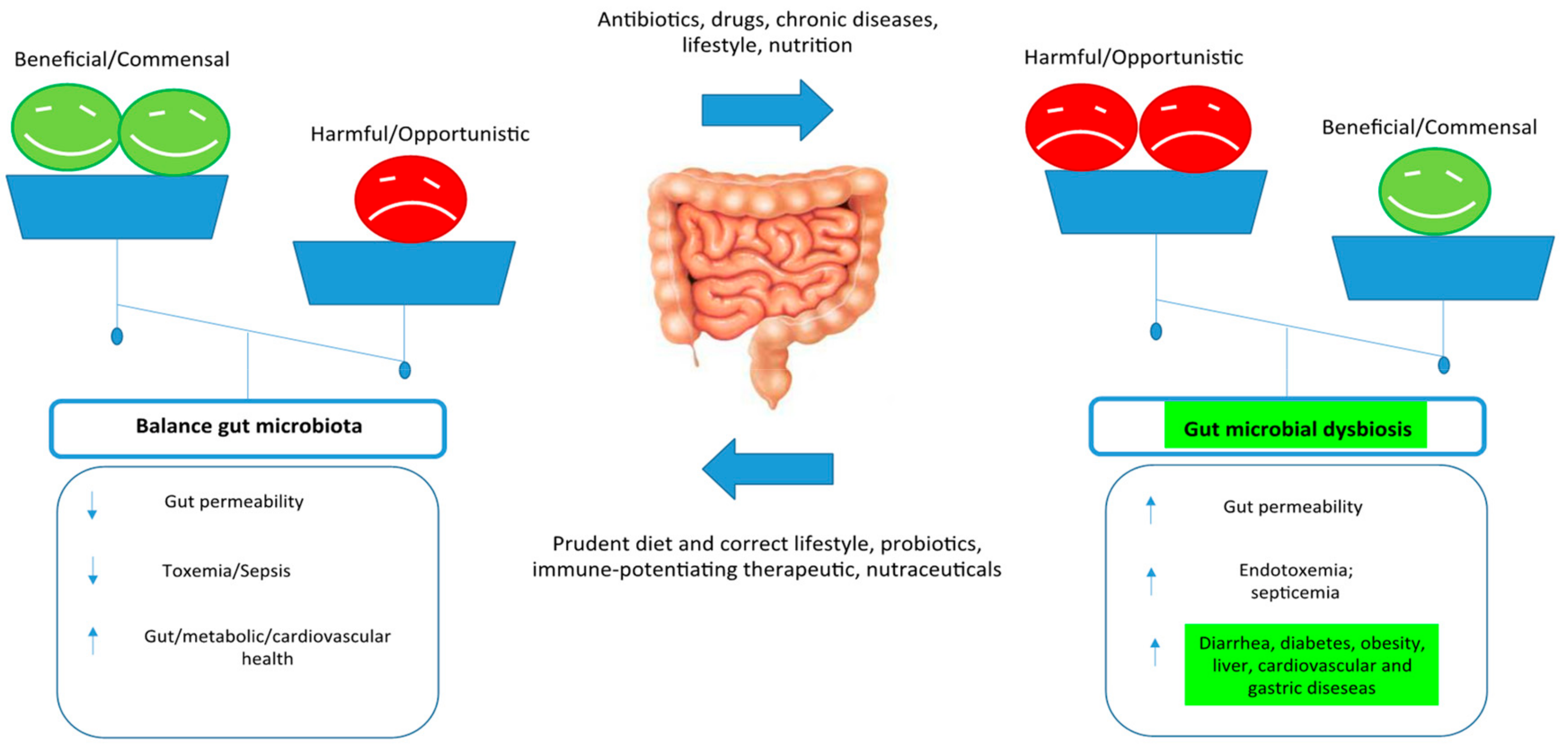 Biomolecules 09 00237 g003