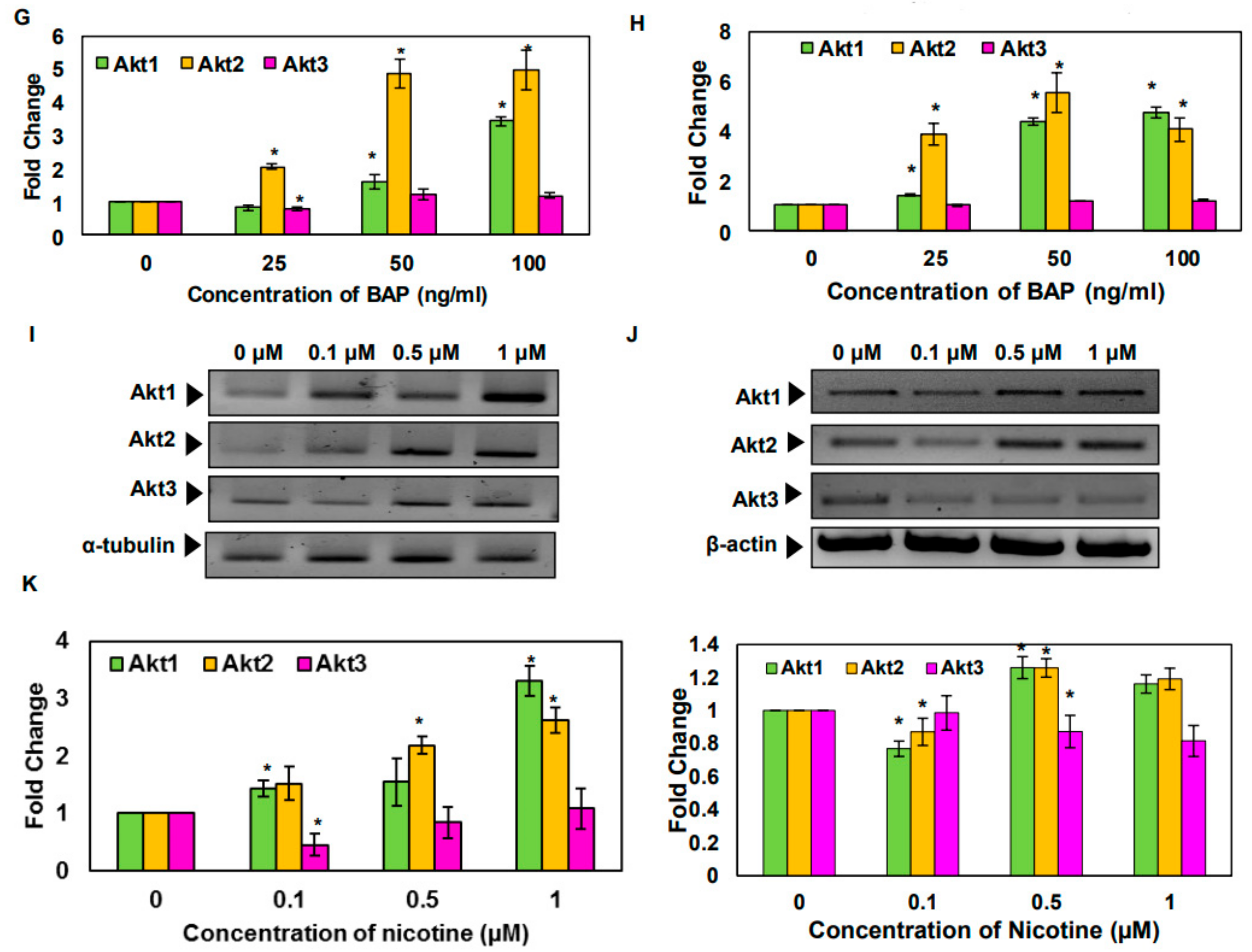 Biomolecules Free Full Text Isoform Specific Role Of Akt In Oral Squamous Cell Carcinoma Html