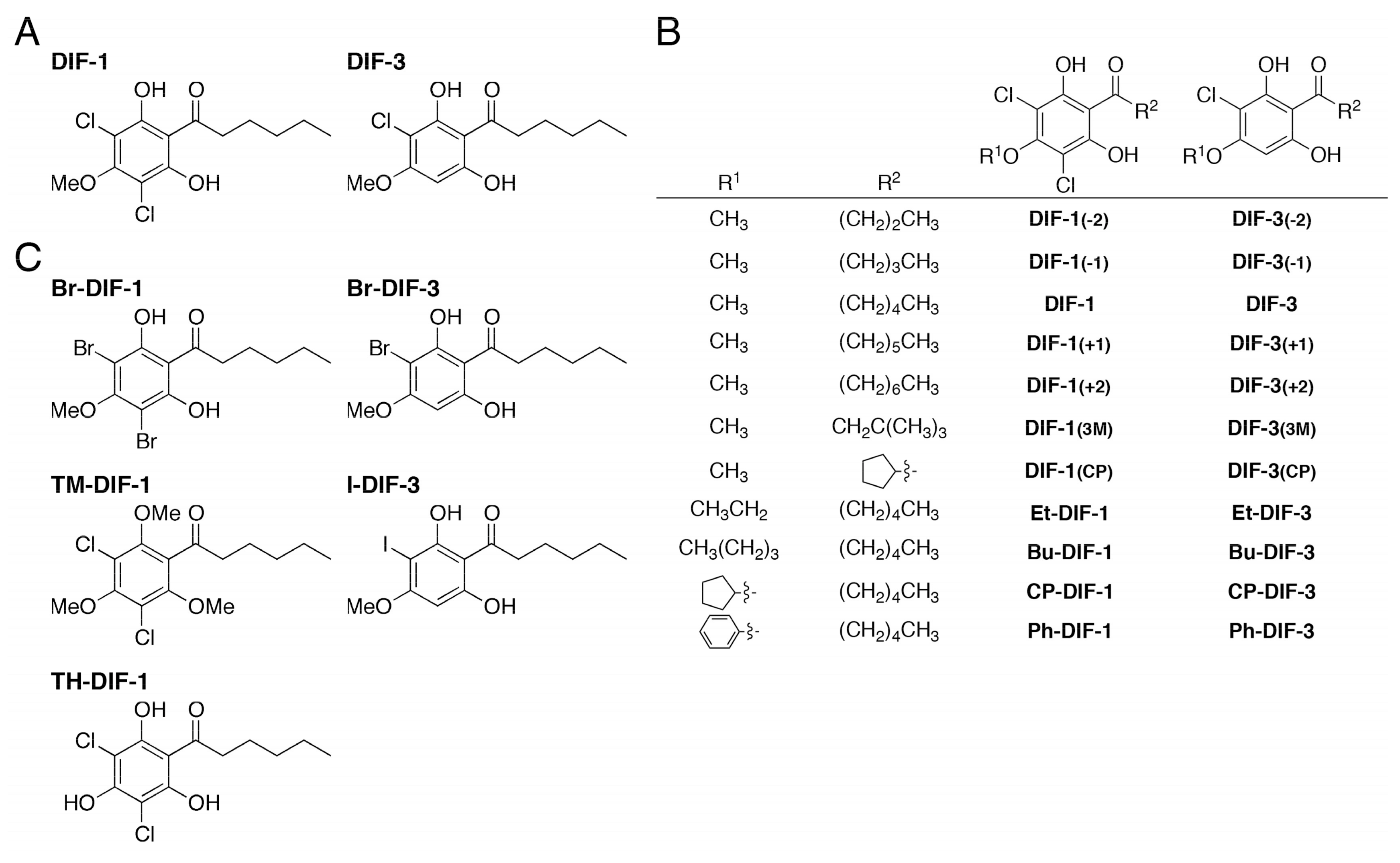 Biomolecules Free Full Text Halogen Substituted Derivatives Of Dictyostelium Differentiation Inducing Factor 1 Suppress Serum Induced Cell Migration Of Human Breast Cancer Mda Mb 231 Cells In Vitro Html