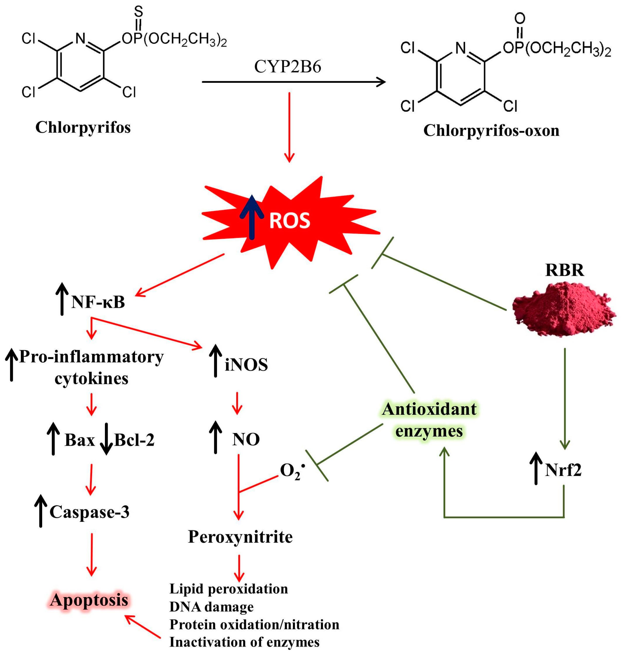 Biomolecules 09 00261 g009