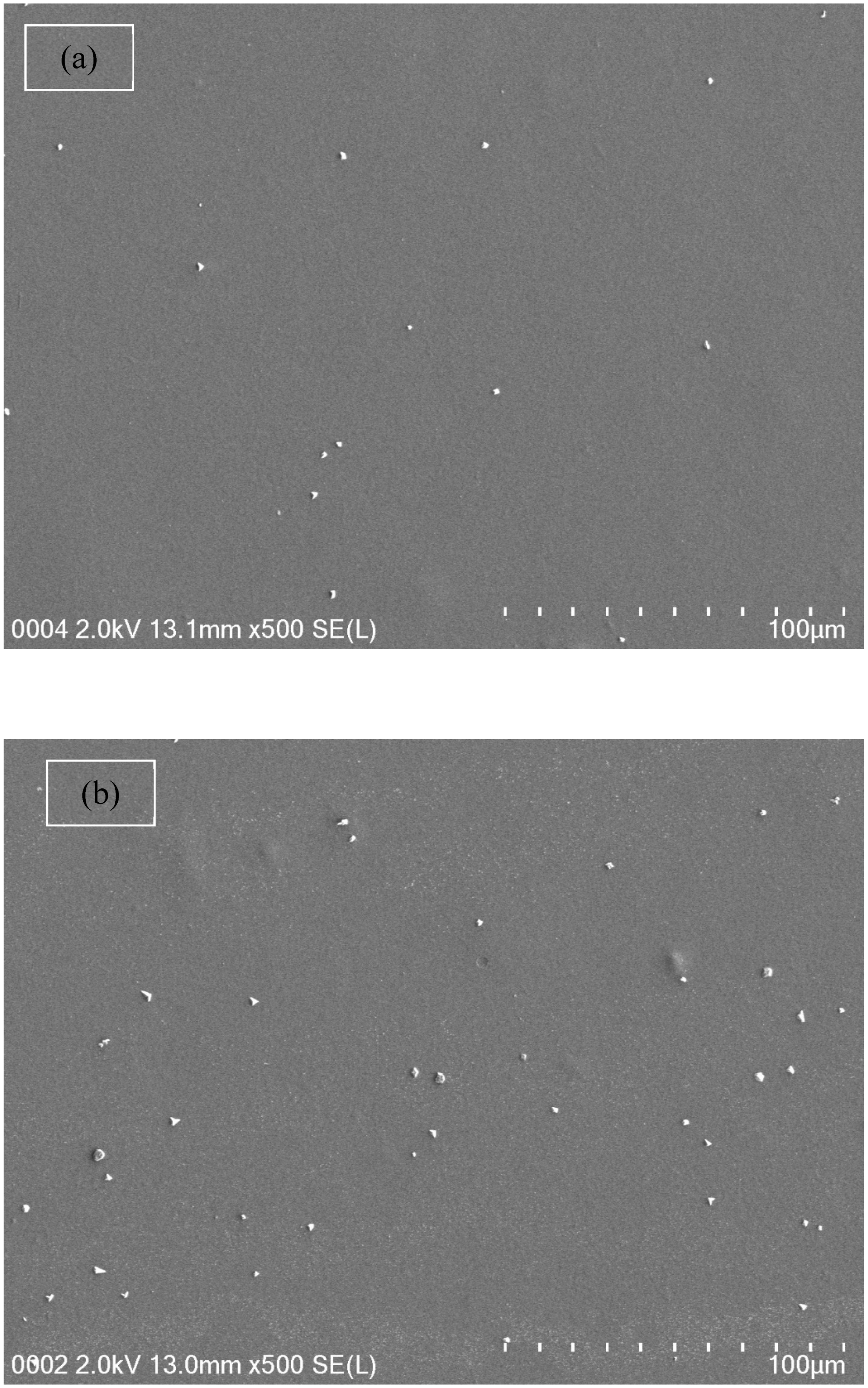 Biomolecules 09 00267 g005a Biomolecules 09 00267 g005a