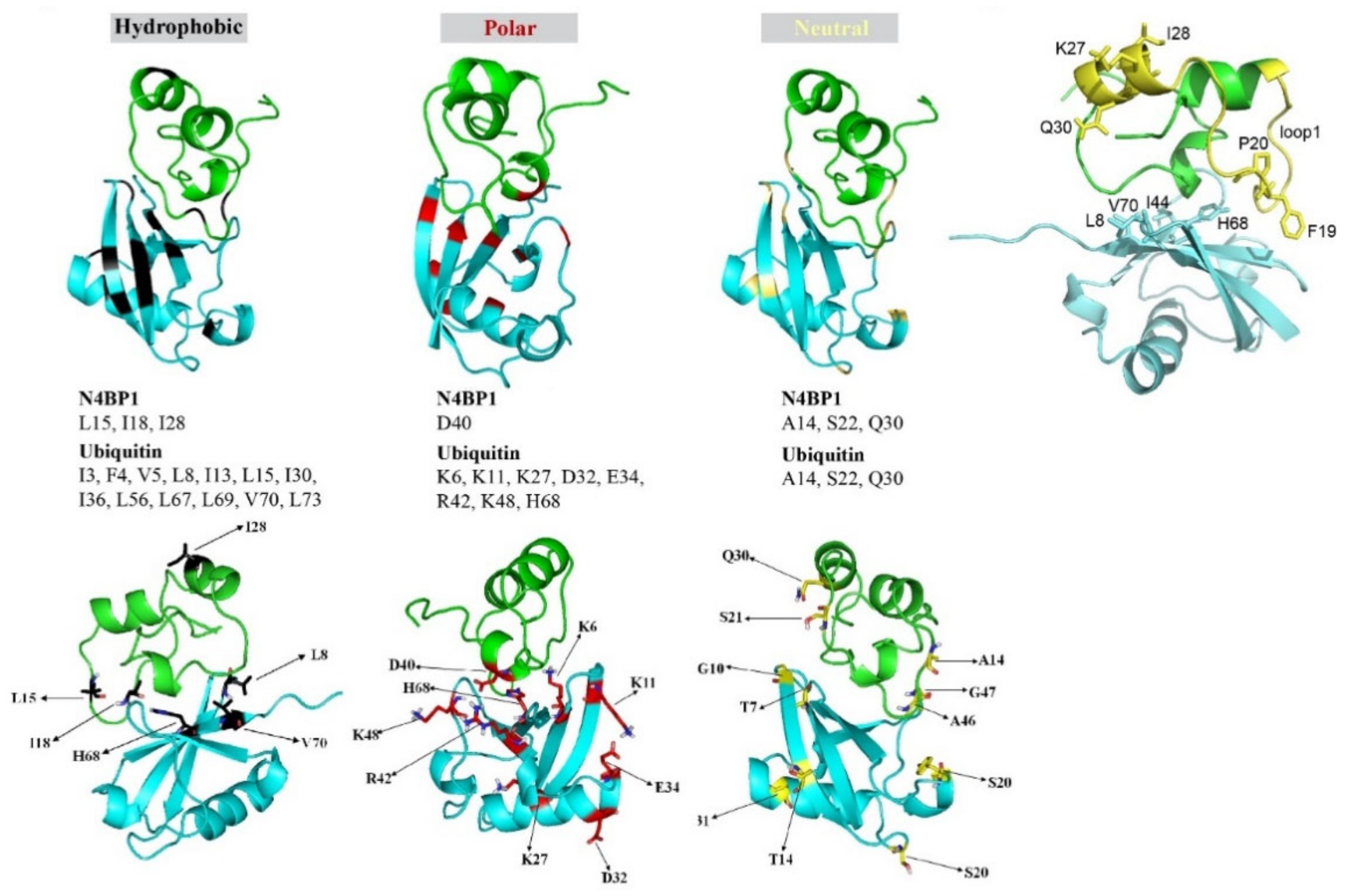 Chemically Bonded (itch) Mac OS