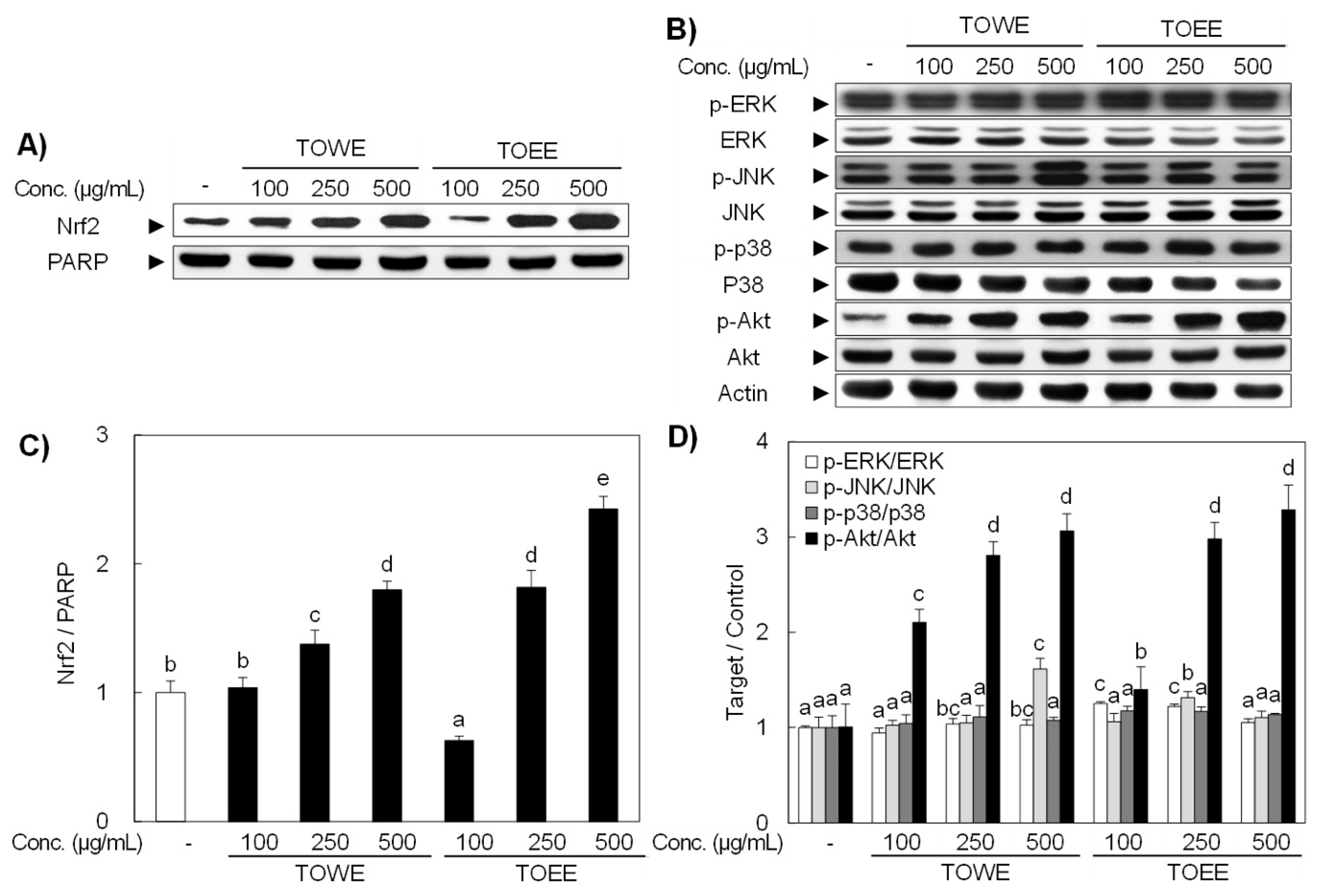 Biomolecules 09 00288 g003 Biomolecules 09 00288 g003