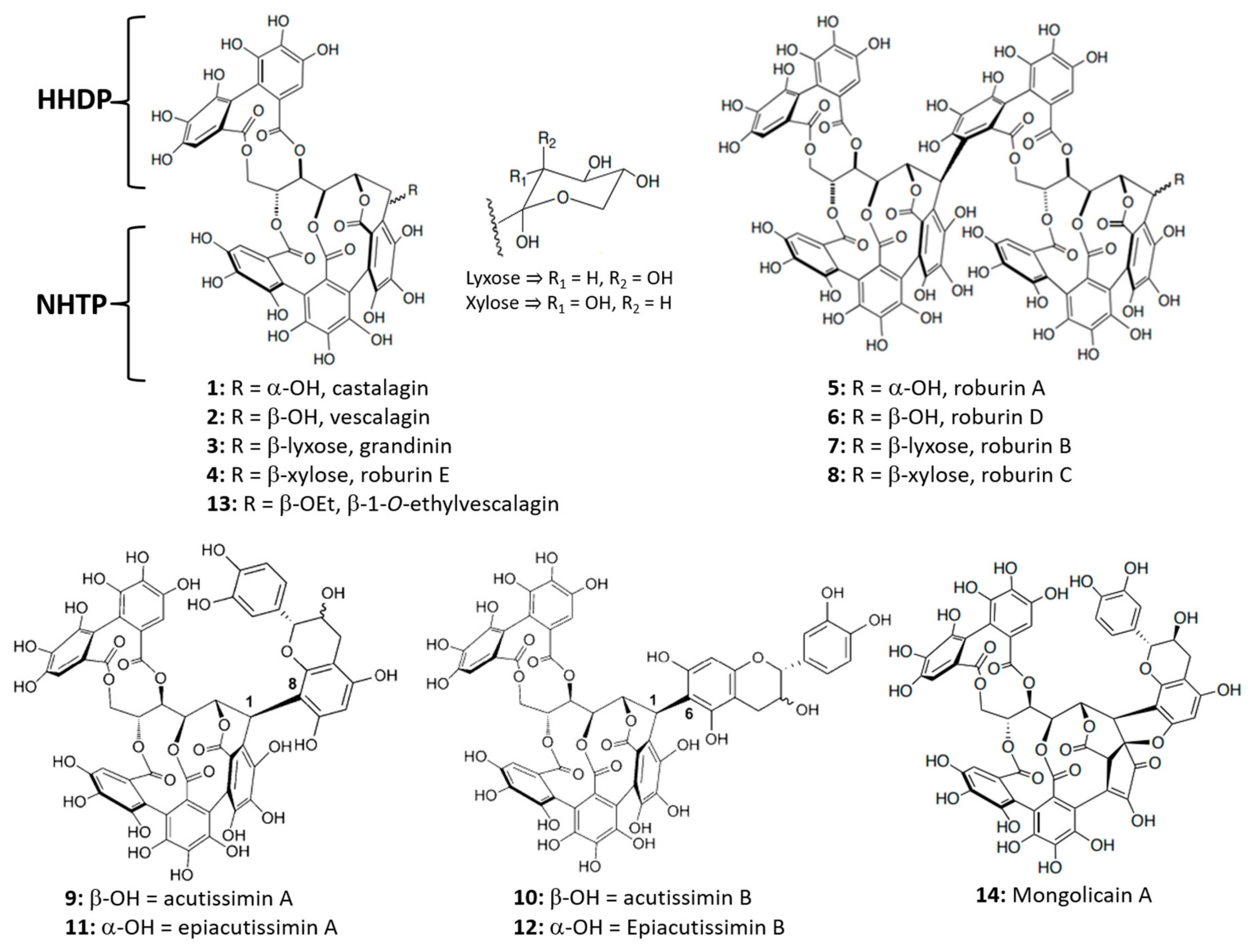 Biomolecules 09 00316 g001