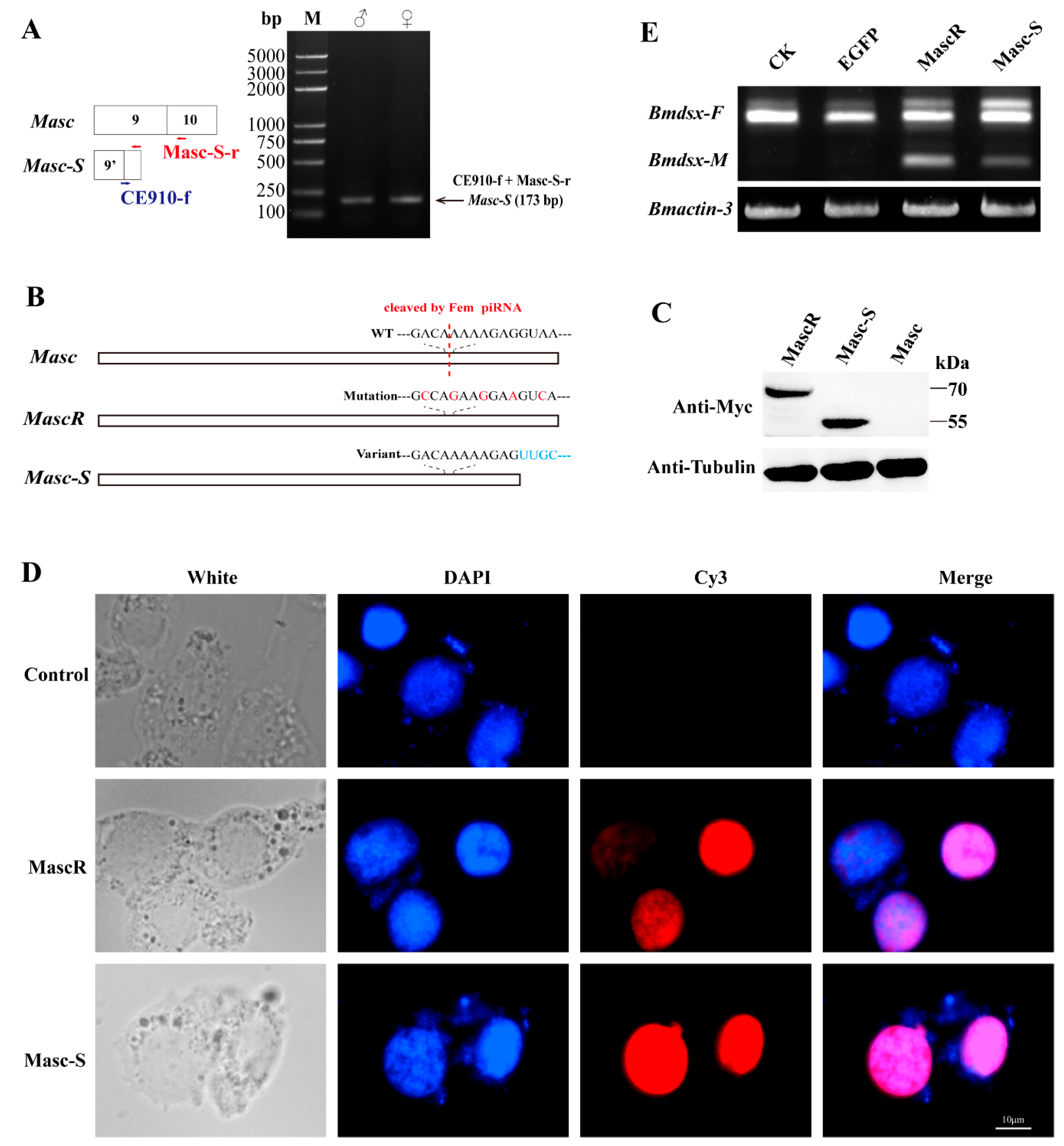 Biomolecules 09 00318 g002